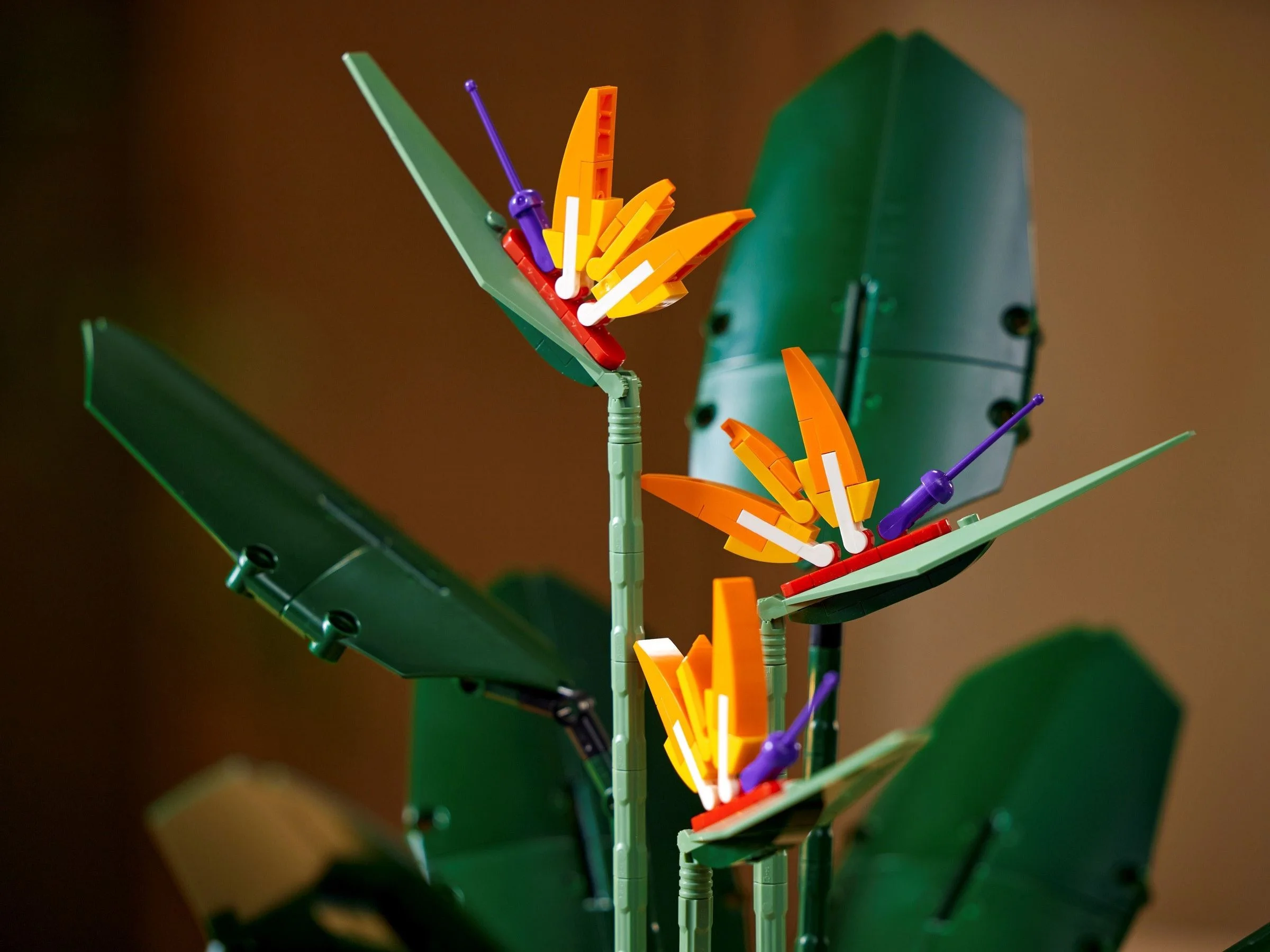 LEGO® 10289 Botanical Collection Strelicja królewska - zdjęcie 10