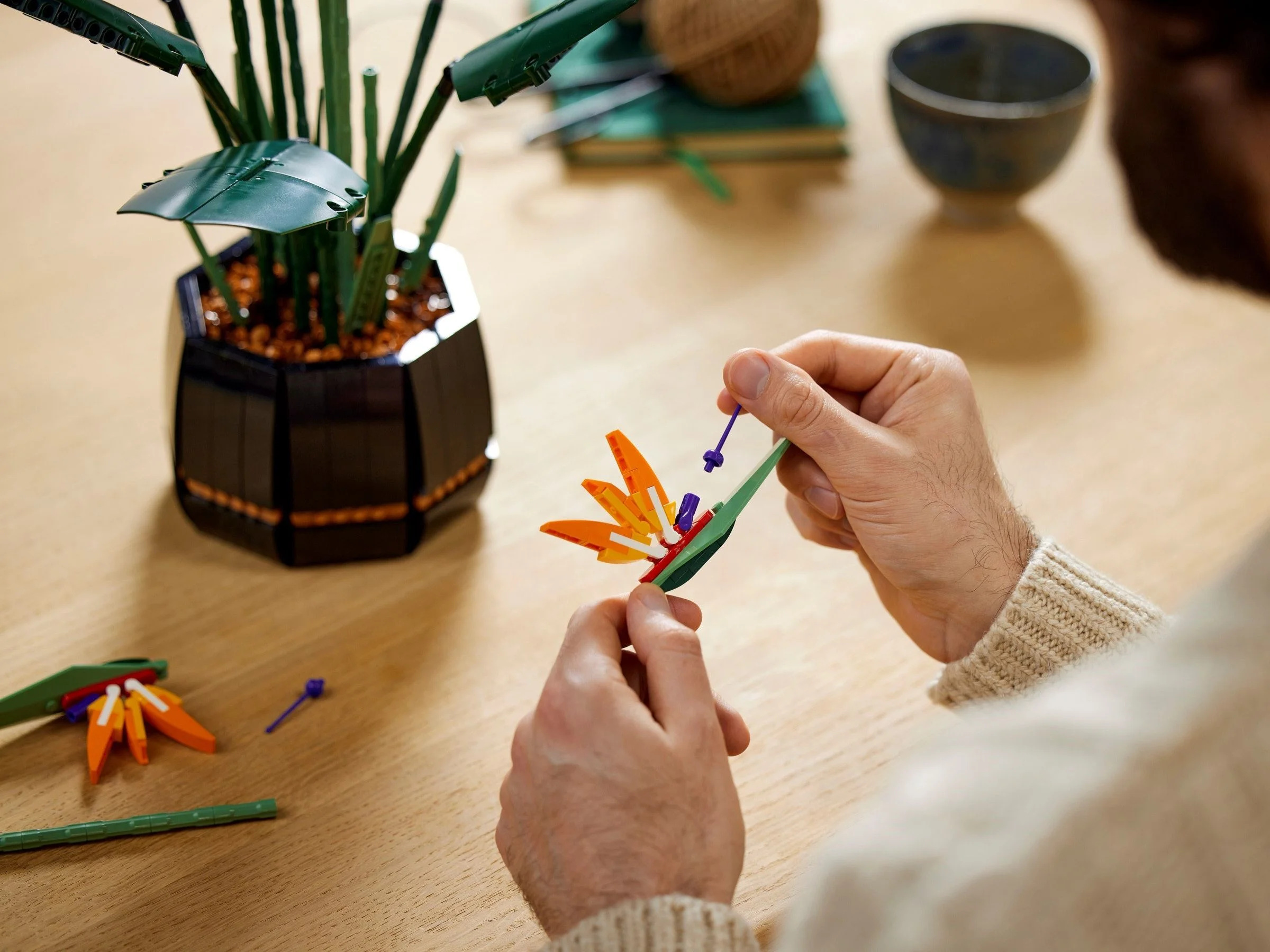 LEGO® 10289 Botanical Collection Strelicja królewska - zdjęcie 11