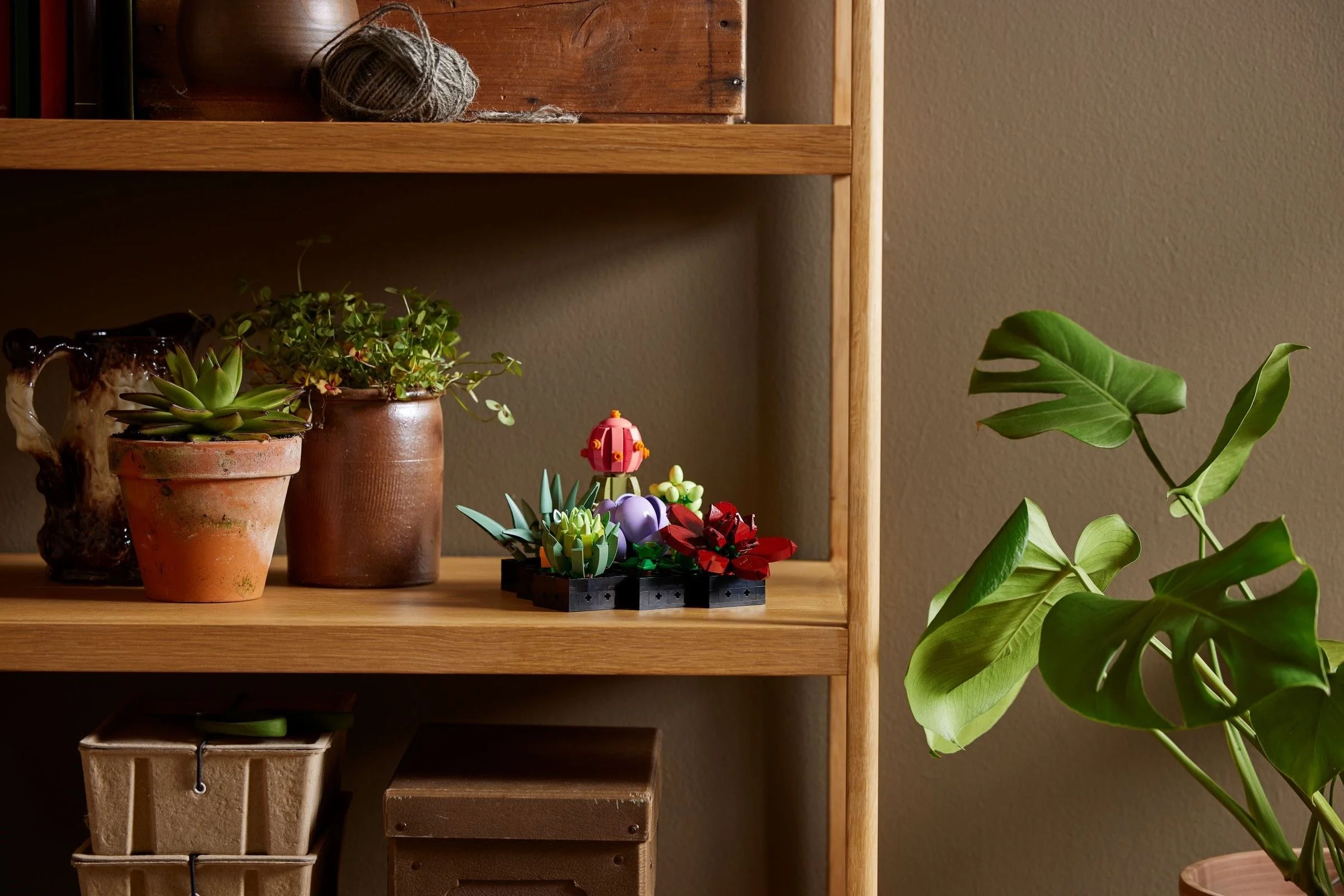 LEGO® 10309 ICONS Sukulenty - zdjęcie 9