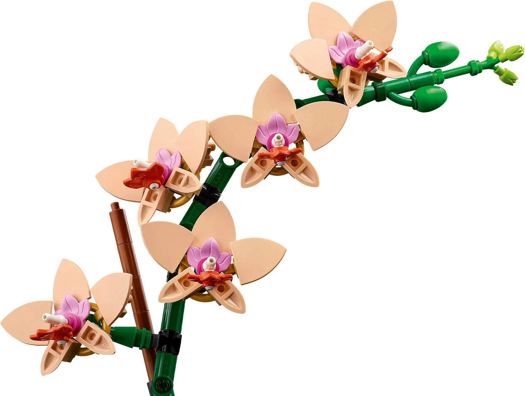 LEGO® 10343 Icons Kwiaty Mała Orchidea - zdjęcie 7