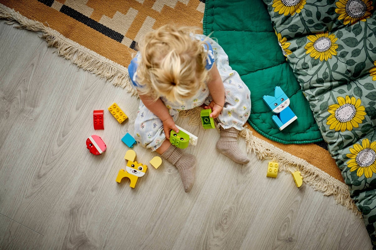 LEGO® 10477 Kreatywne zwierzaki 3 w 1 - zdjęcie 8