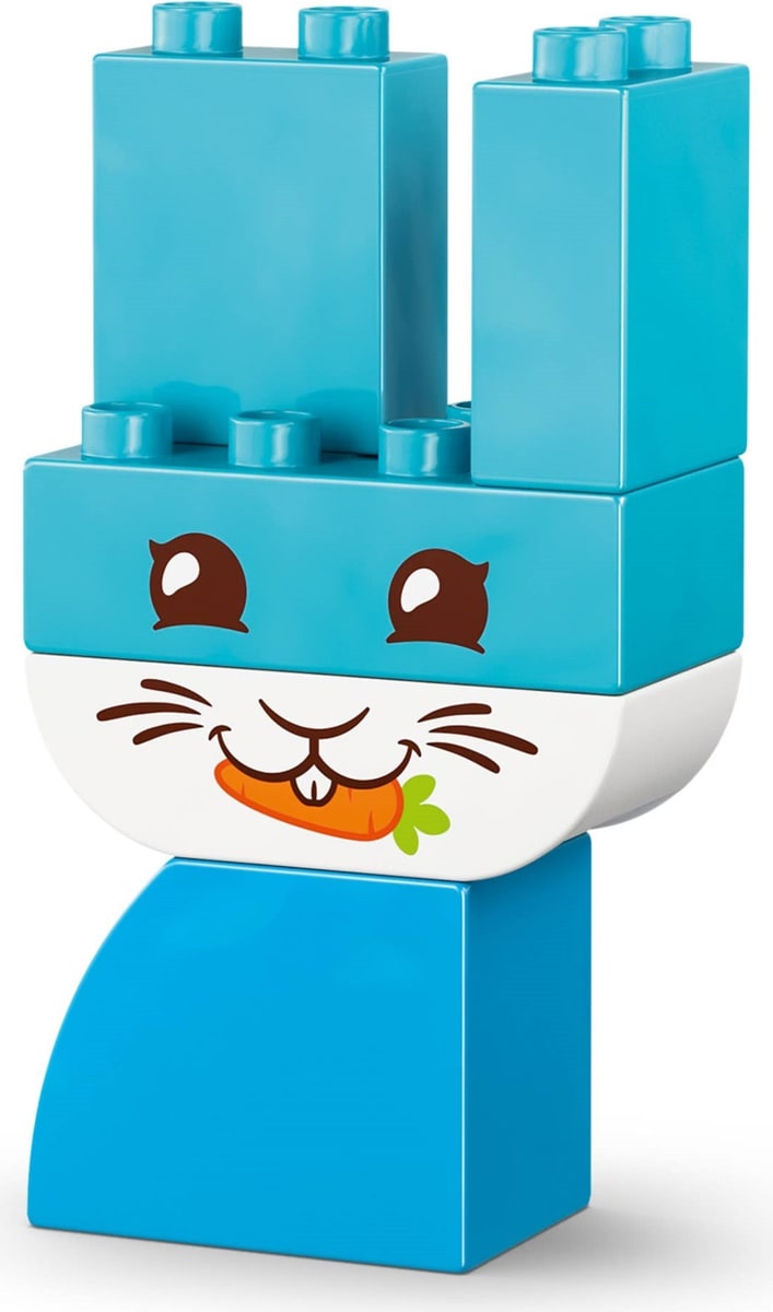 LEGO® 10477 Kreatywne zwierzaki 3 w 1 - zdjęcie 18
