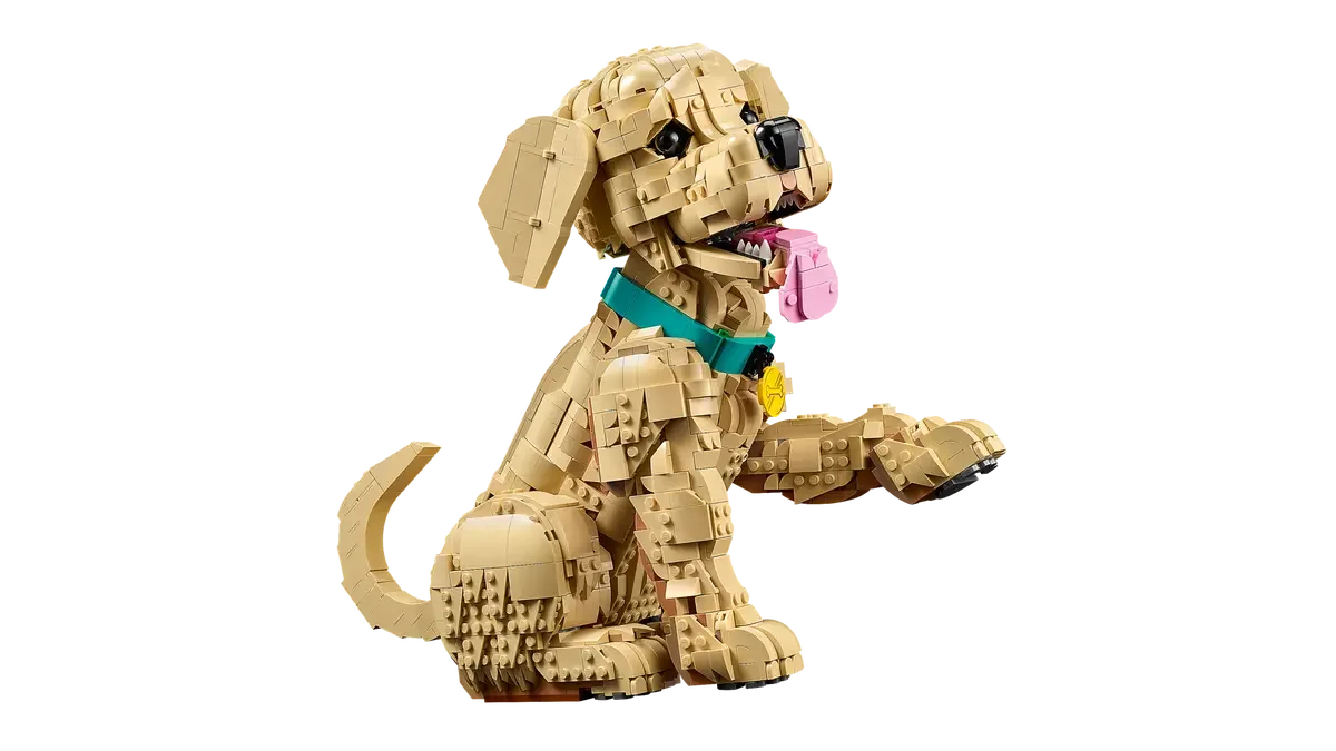 LEGO® 11384 LEGO ICONS Szczeniak golden retriever - zdjęcie 4