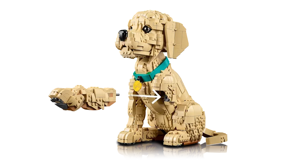 LEGO® 11384 LEGO ICONS Szczeniak golden retriever - zdjęcie 7