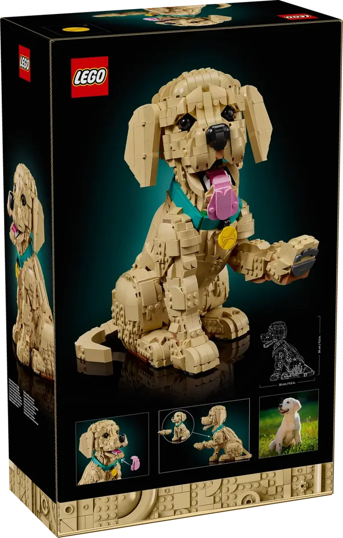 LEGO® 11384 LEGO ICONS Szczeniak golden retriever - zdjęcie 8
