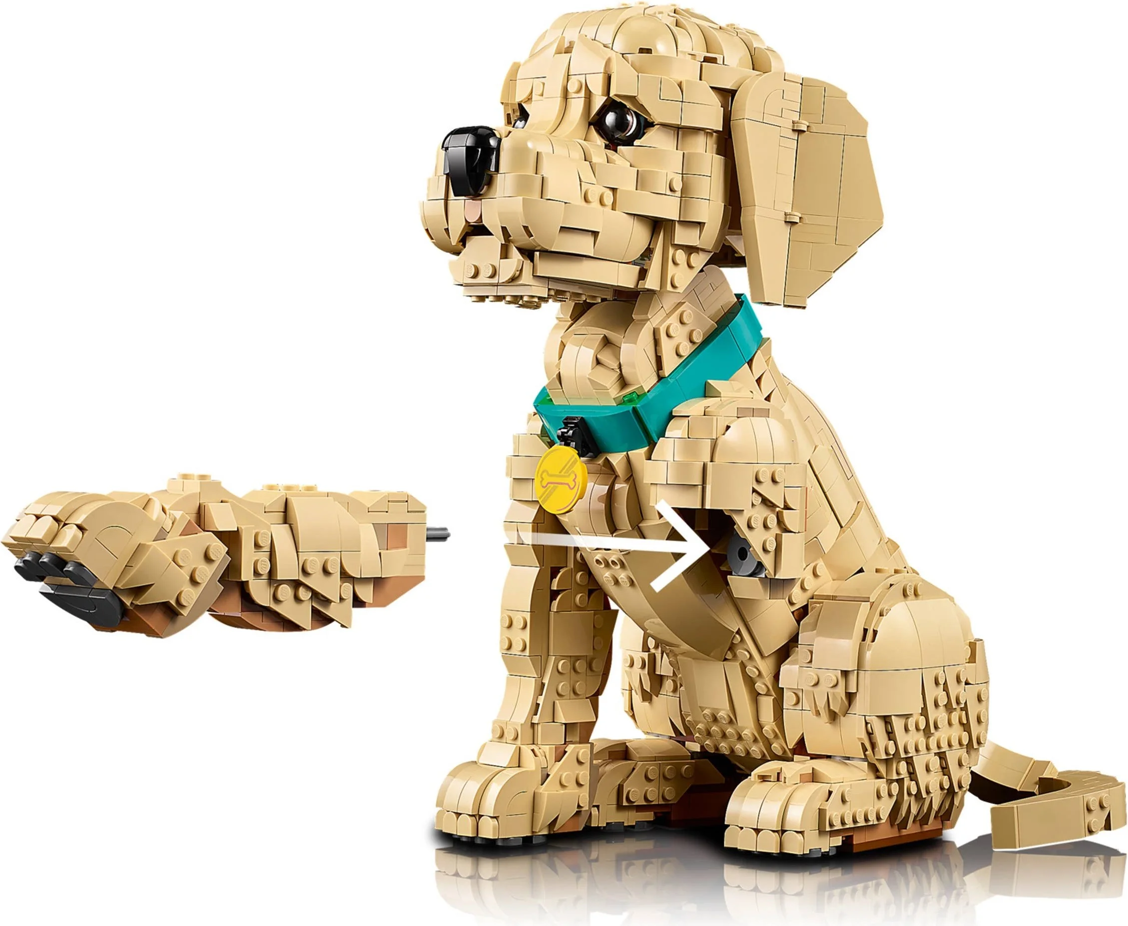 LEGO® 11384 LEGO ICONS Szczeniak golden retriever - zdjęcie 24