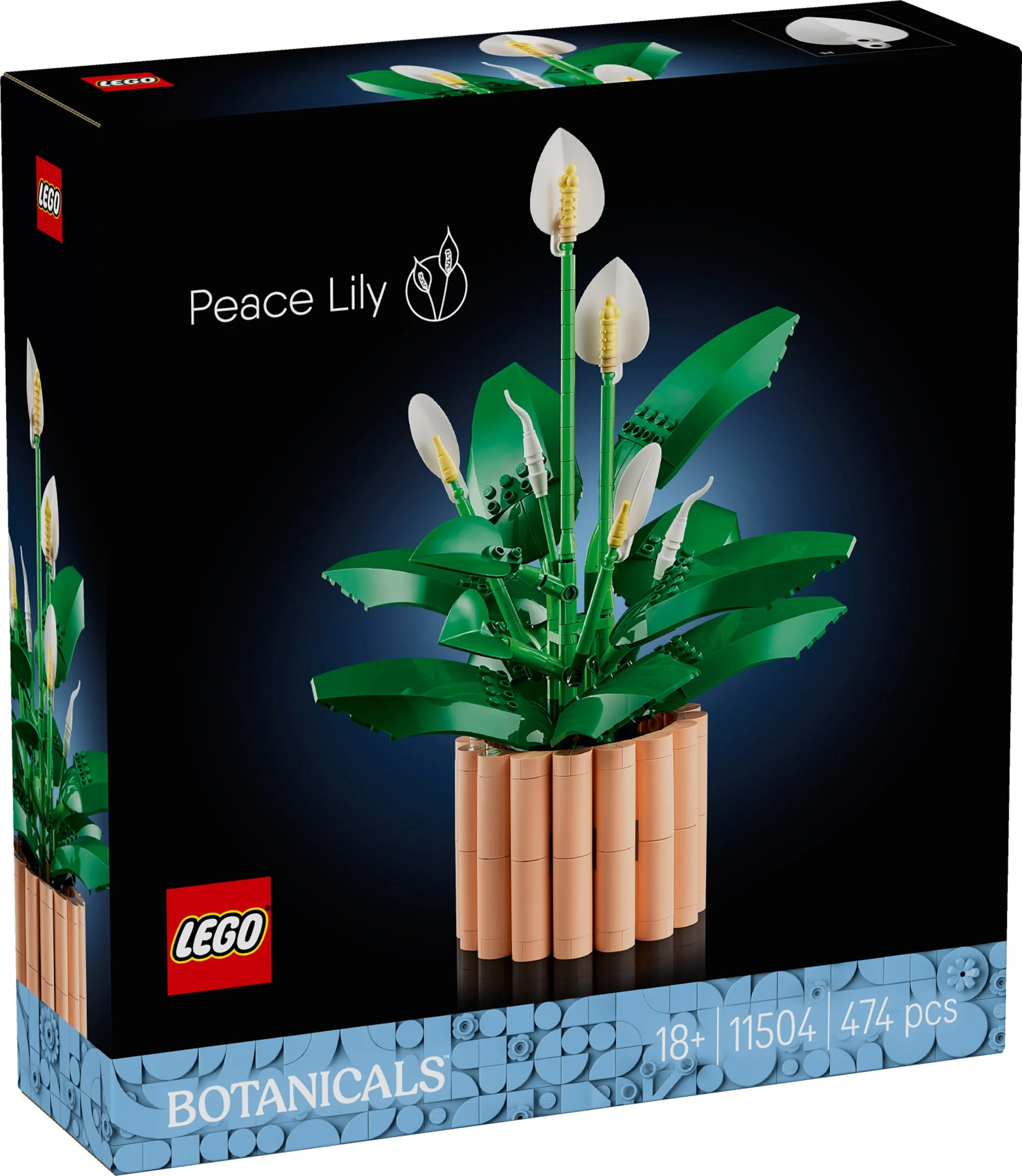 LEGO® 11504 Icons Skrzydłokwiat - zdjęcie 2