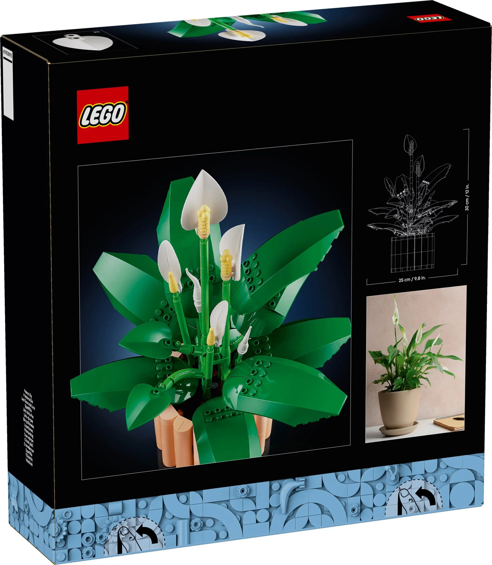 LEGO® 11504 Icons Skrzydłokwiat - zdjęcie 6