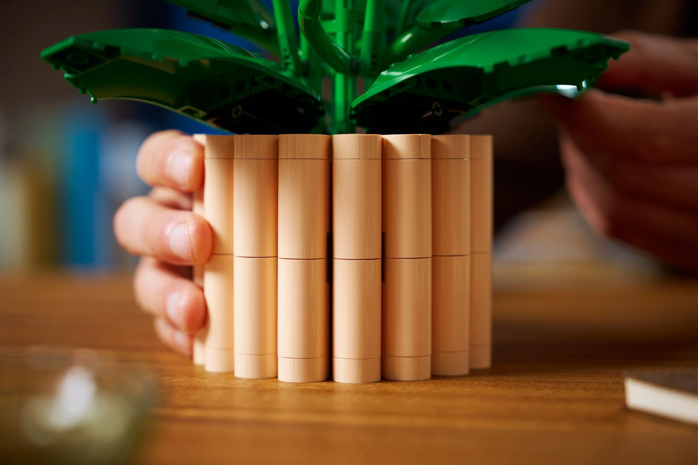 LEGO® 11504 Icons Skrzydłokwiat - zdjęcie 7