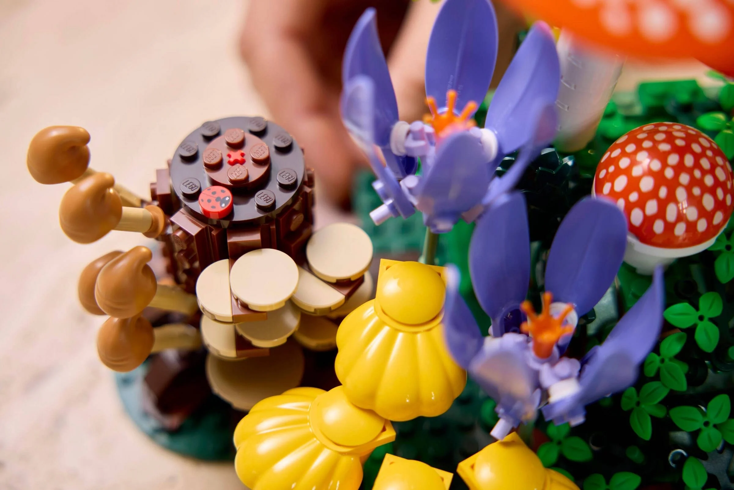 LEGO® 11505 Grzyby leśne - zdjęcie 8