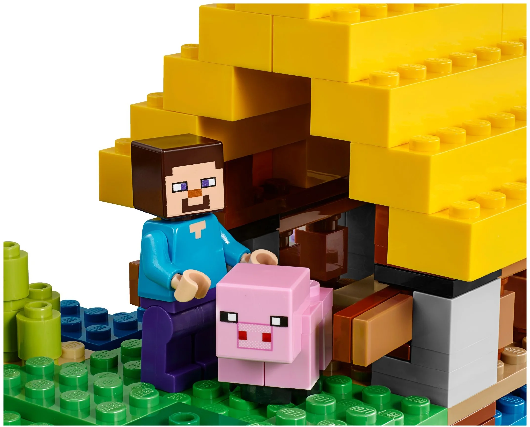 LEGO® 21144 Zestaw Julivo - zdjęcie 3