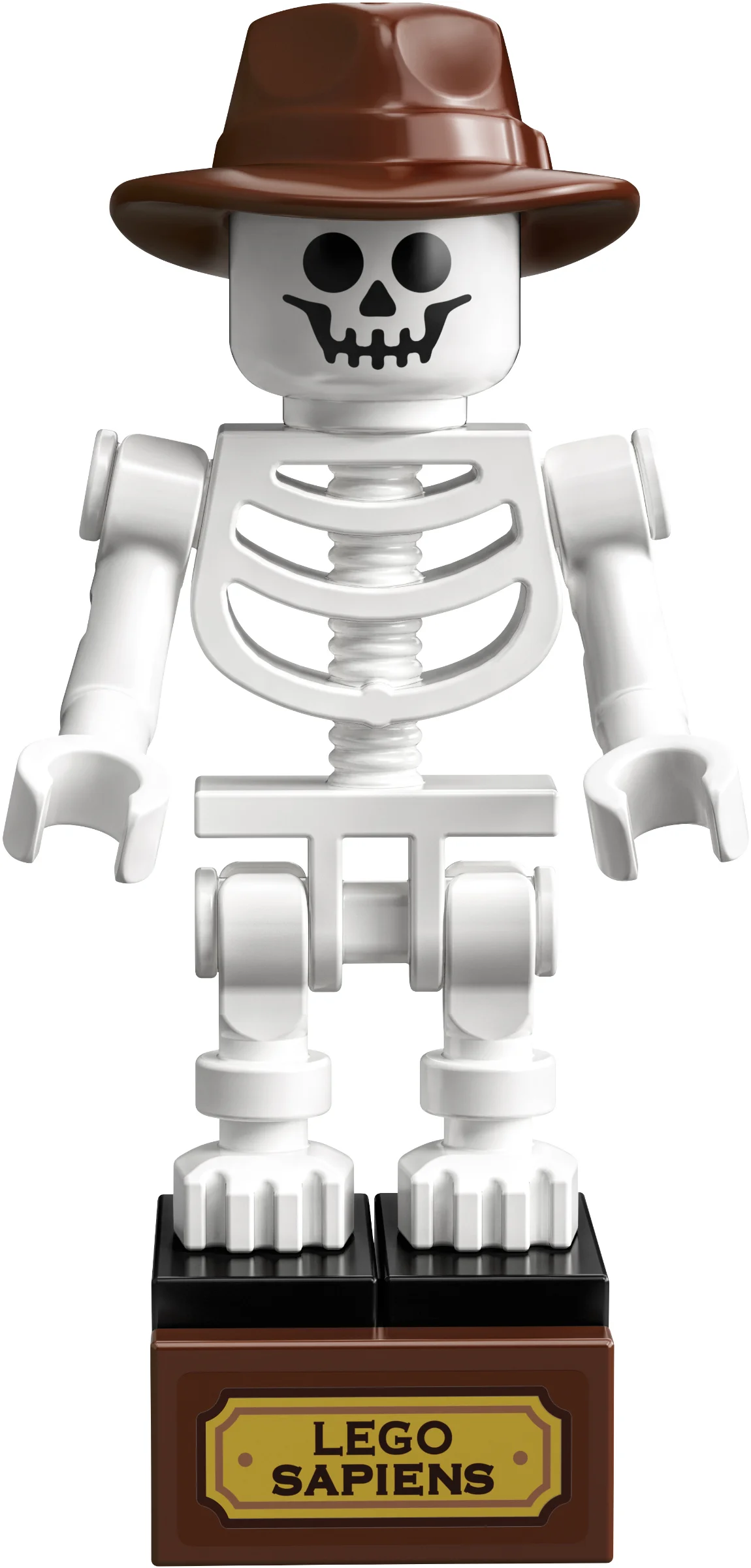 LEGO® 21320 sam szkielet Pteranodona+opis - zdjęcie 2