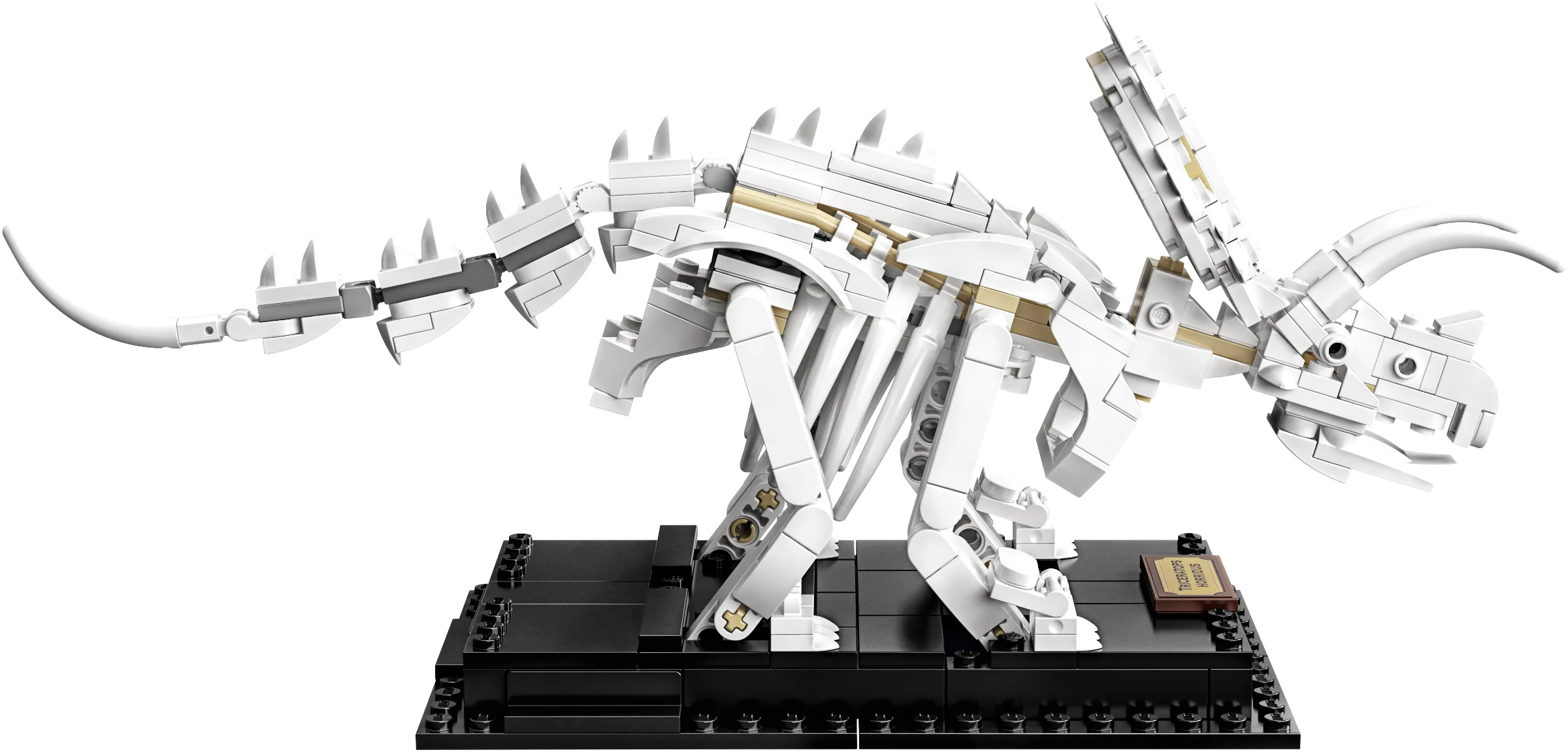 LEGO® 21320 sam szkielet Pteranodona+opis - zdjęcie 3