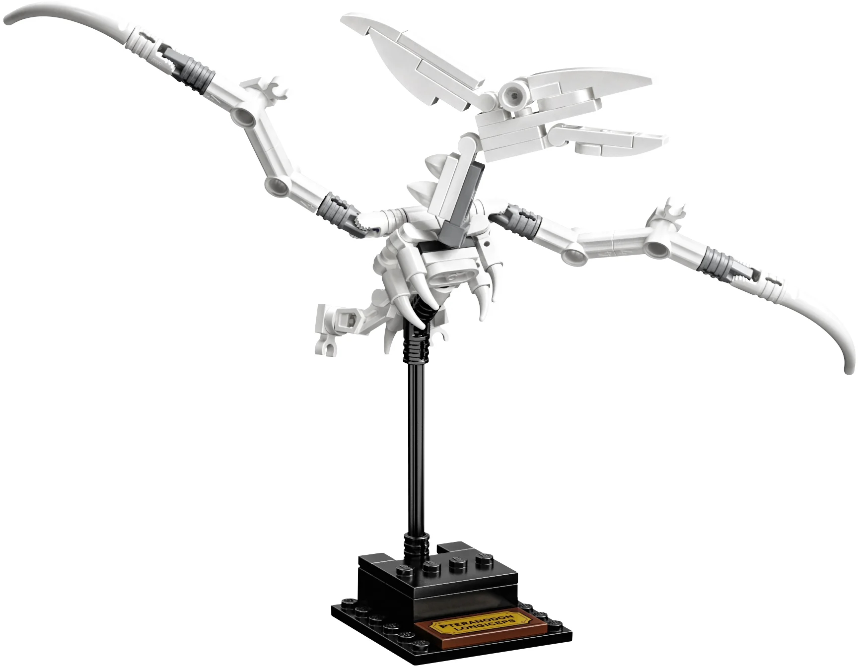 LEGO® 21320 sam szkielet Pteranodona+opis - zdjęcie 8