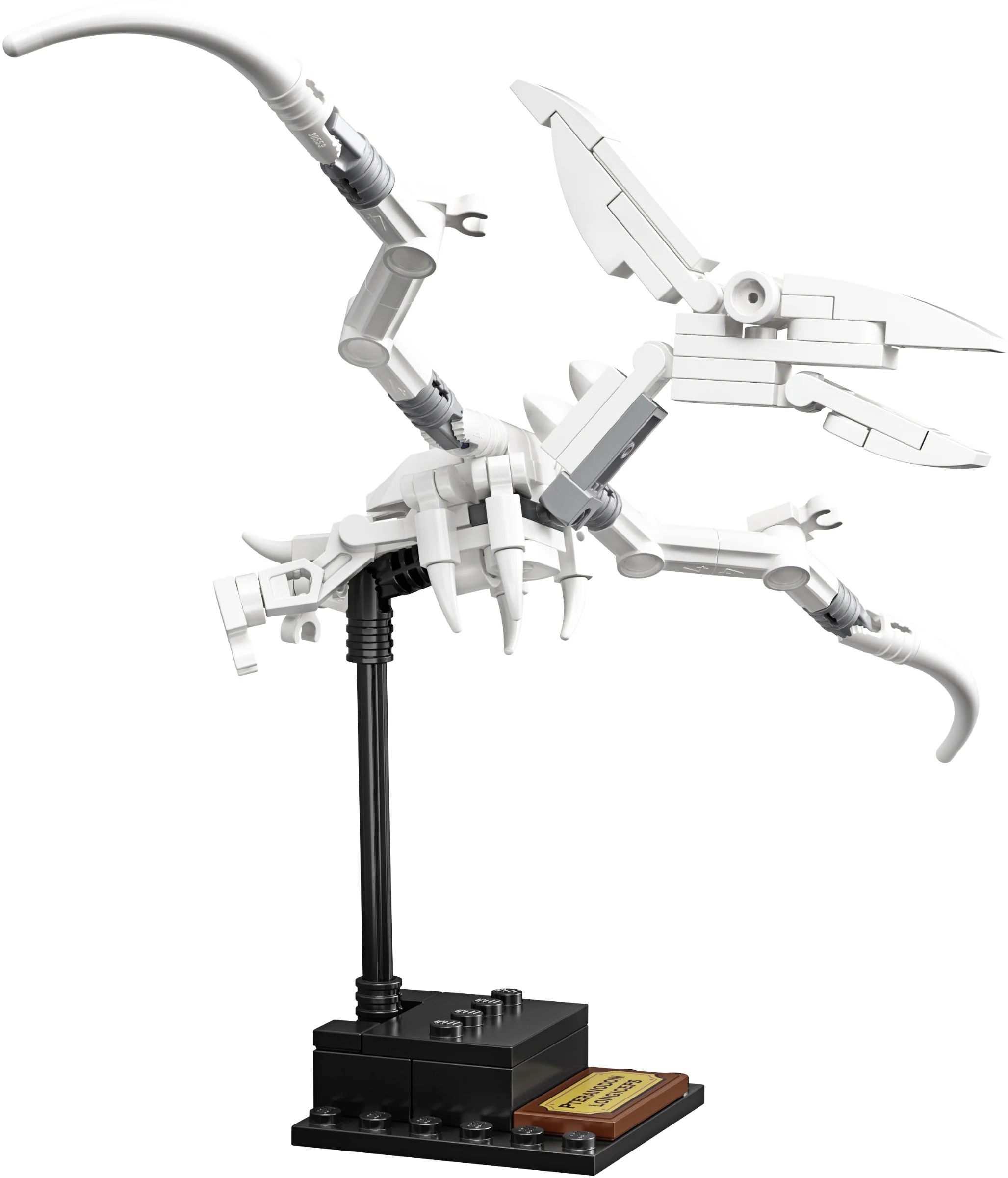 LEGO® 21320 sam szkielet Pteranodona+opis - zdjęcie 11
