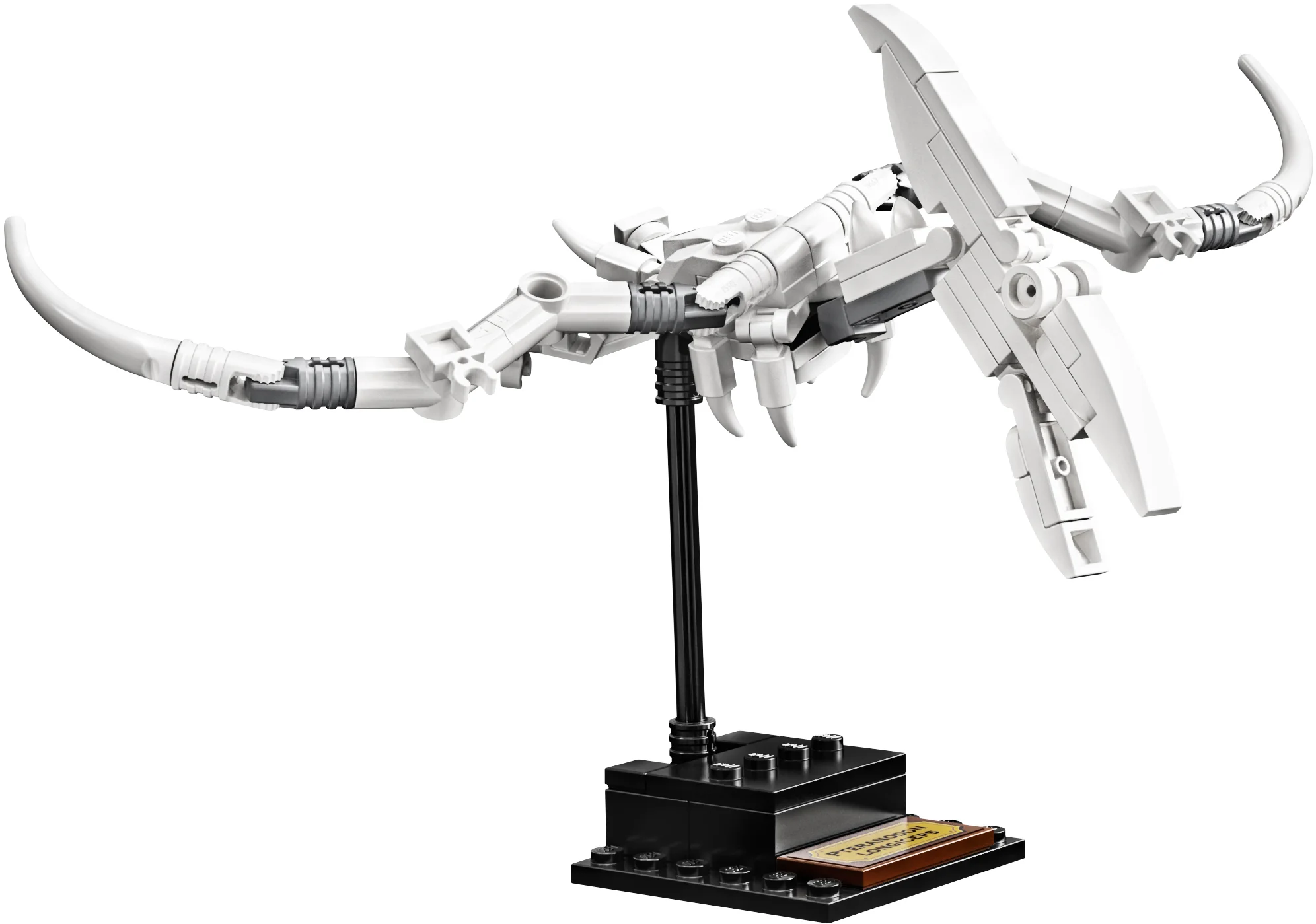 LEGO® 21320 sam szkielet Pteranodona+opis - zdjęcie 17