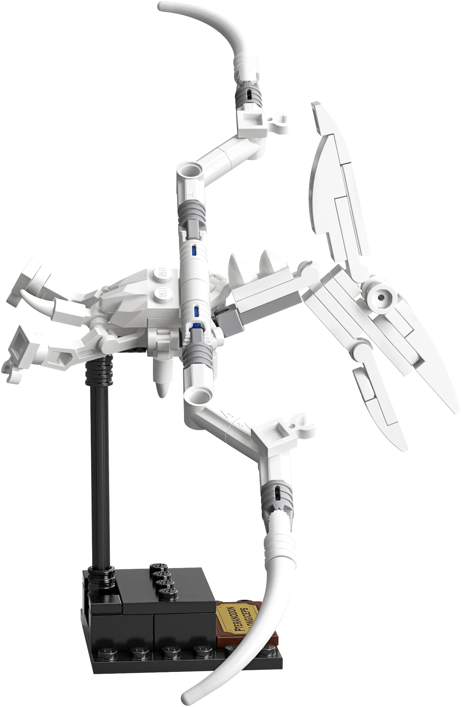 LEGO® 21320 sam szkielet Pteranodona+opis - zdjęcie 21