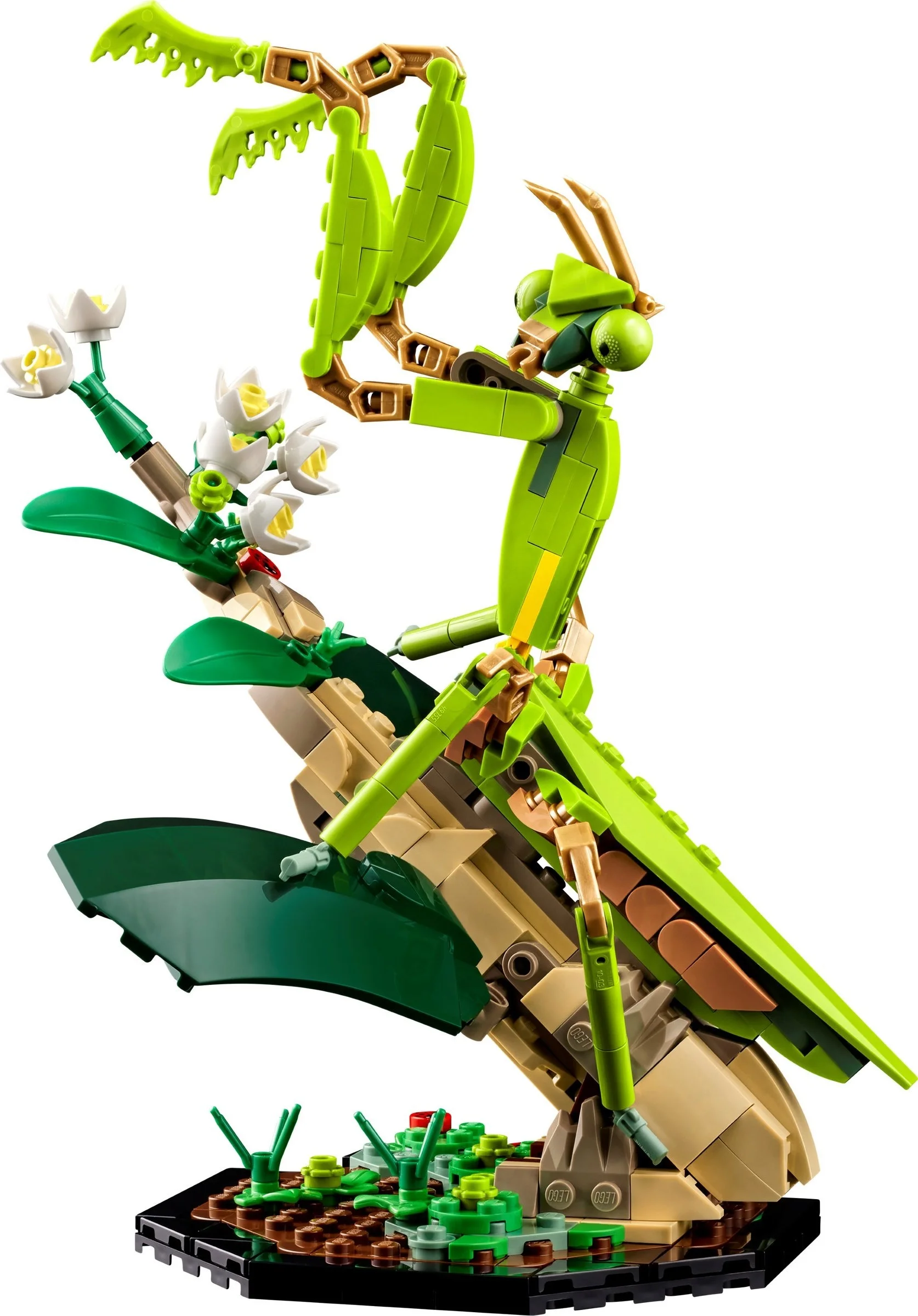 LEGO® 21342 LEGO Ideas Kolekcja owadów - zdjęcie 4