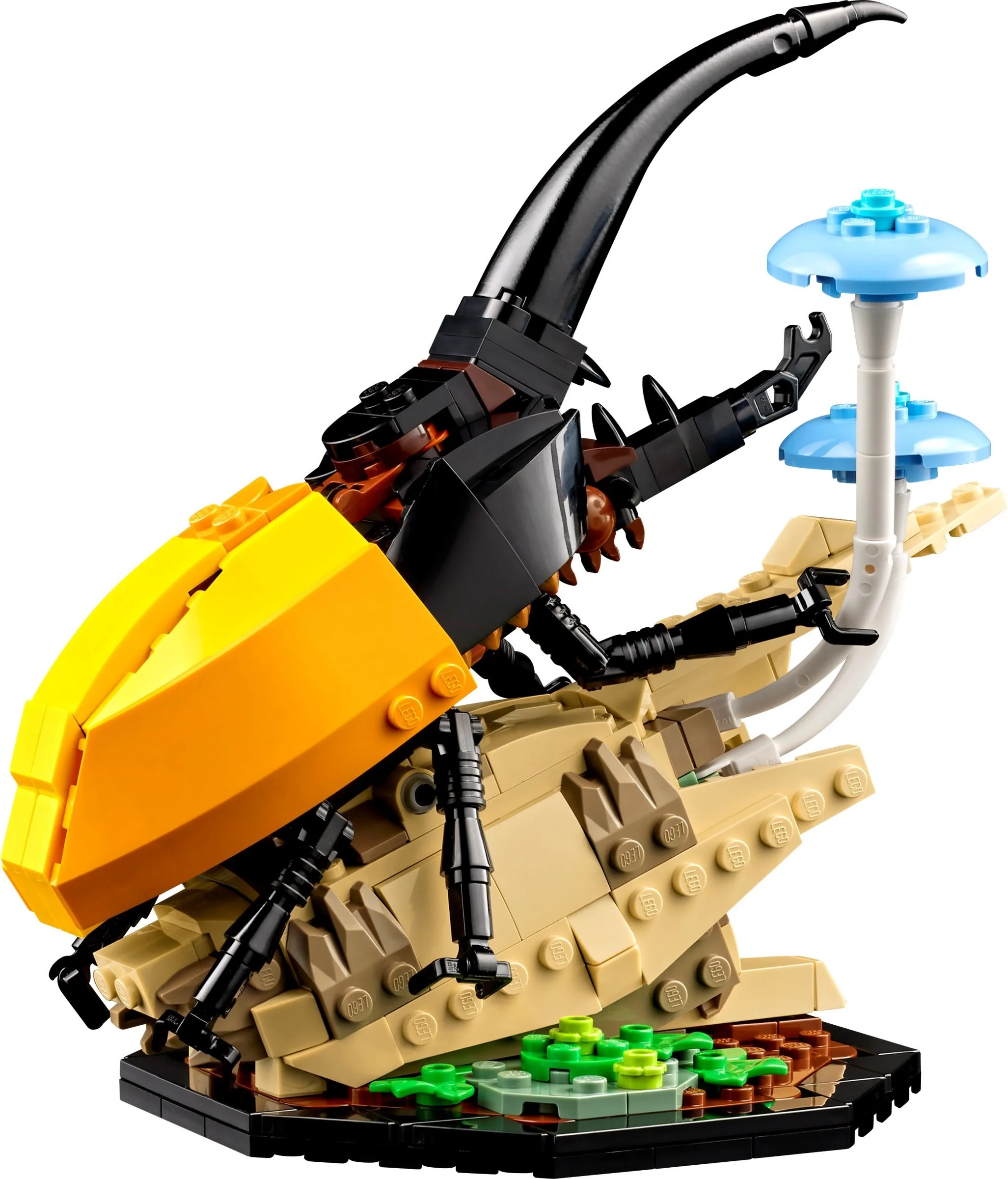 LEGO® 21342 LEGO Ideas Kolekcja owadów - zdjęcie 5