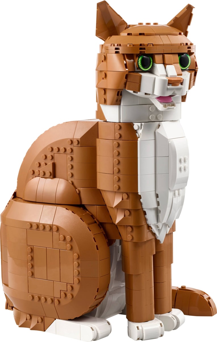 LEGO® 21376 Rudy kot - zdjęcie 23