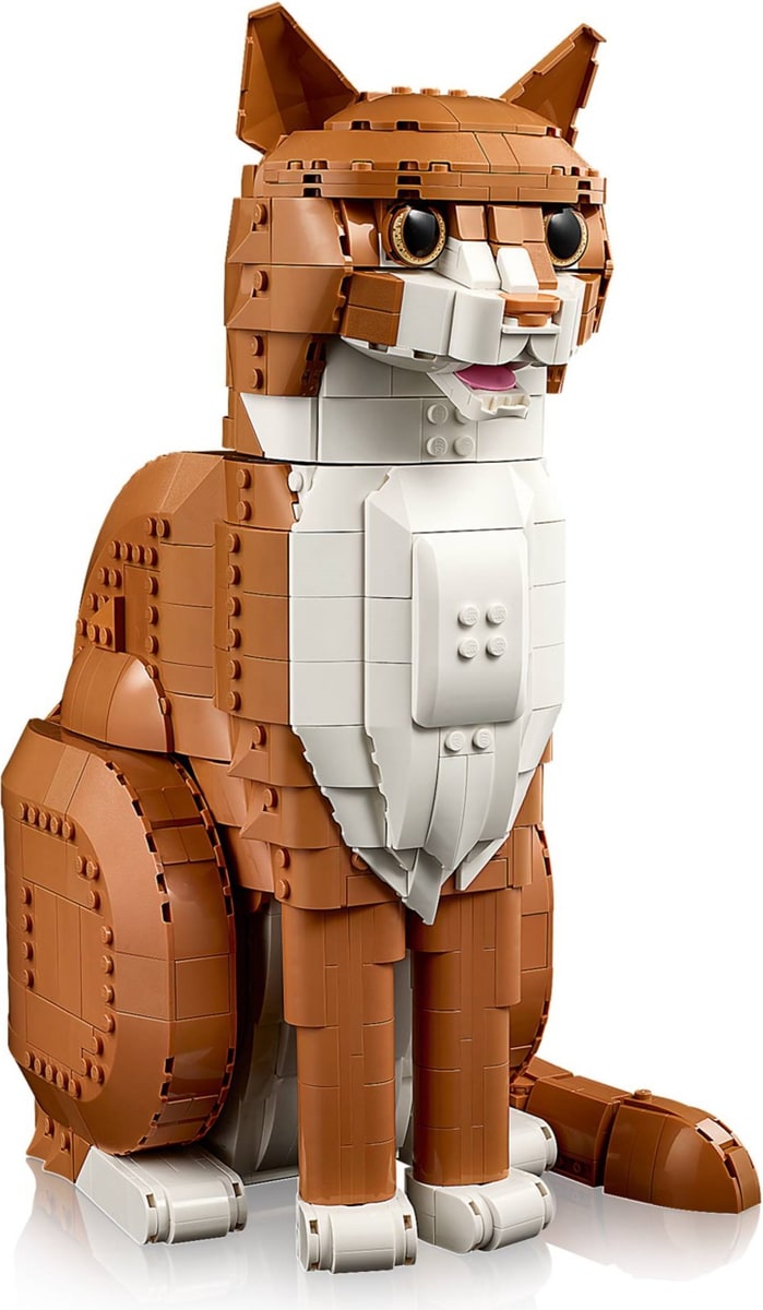 LEGO® 21376 Rudy kot - zdjęcie 27