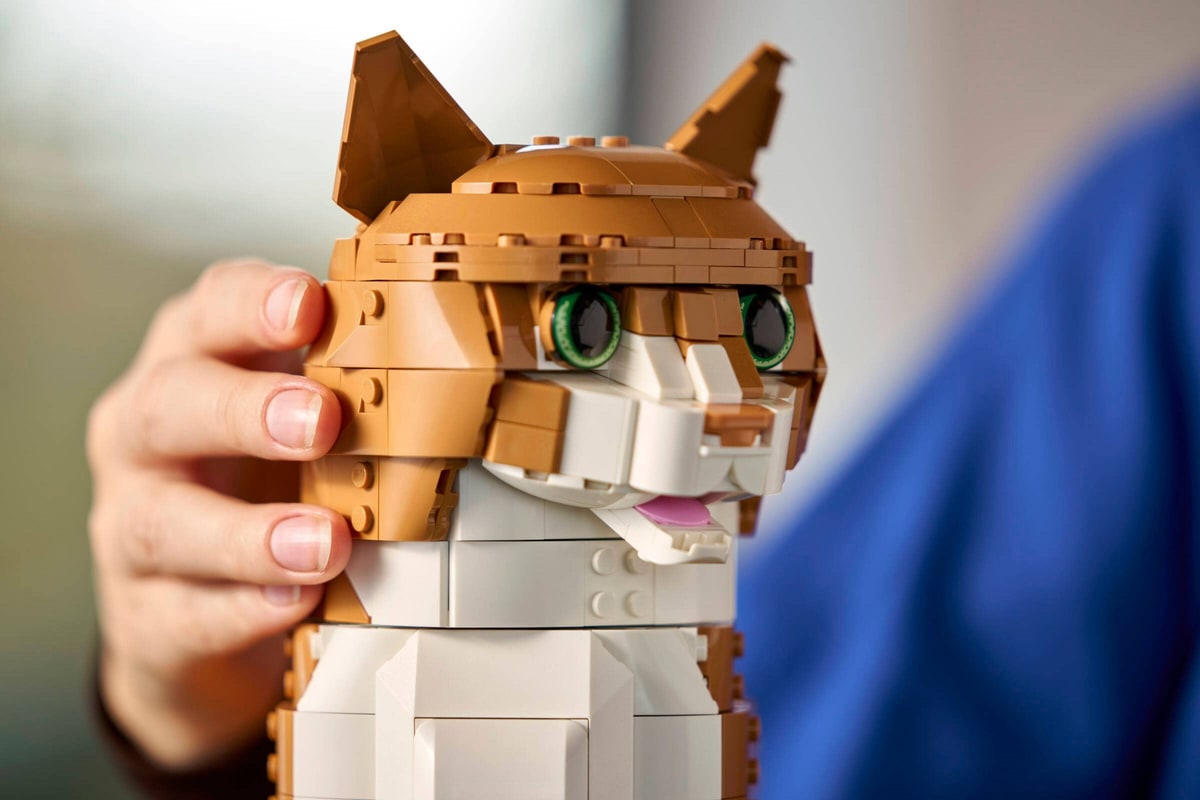 LEGO® 21376 Rudy kot - zdjęcie 11