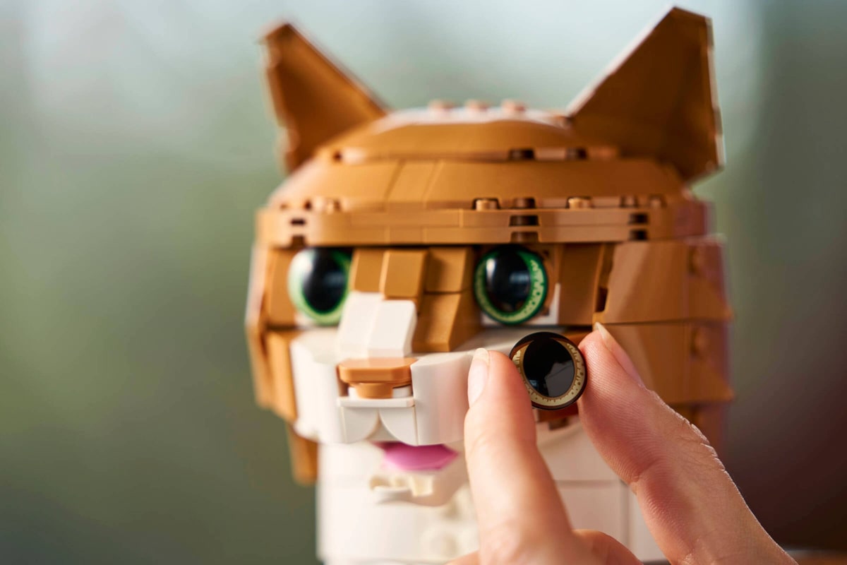 LEGO® 21376 Rudy kot - zdjęcie 13