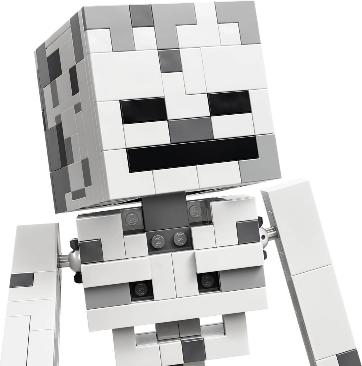 LEGO® 21594 Szkielet - zdjęcie 22