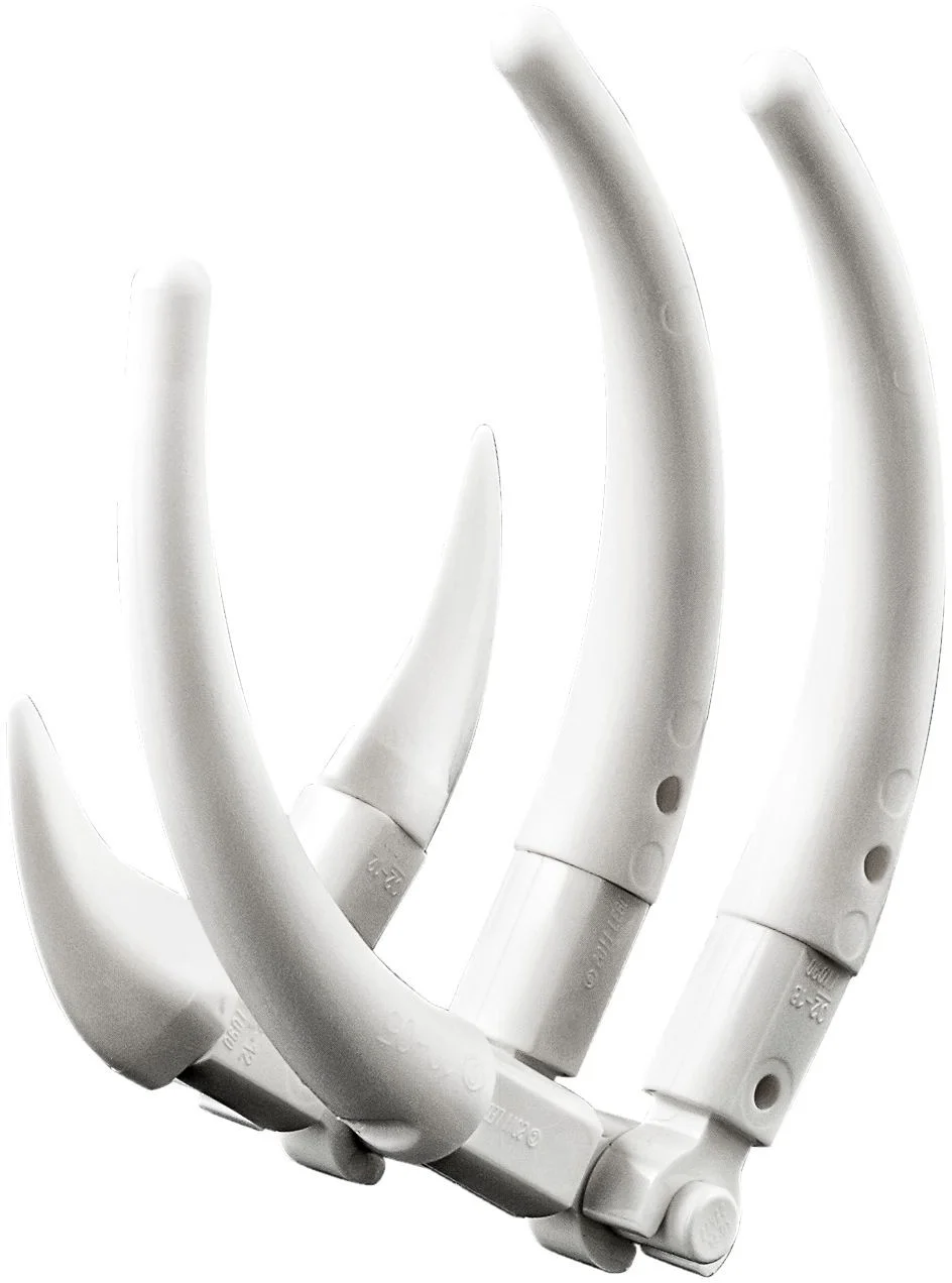 LEGO® 31058 Potężne dinozaury - zdjęcie 12