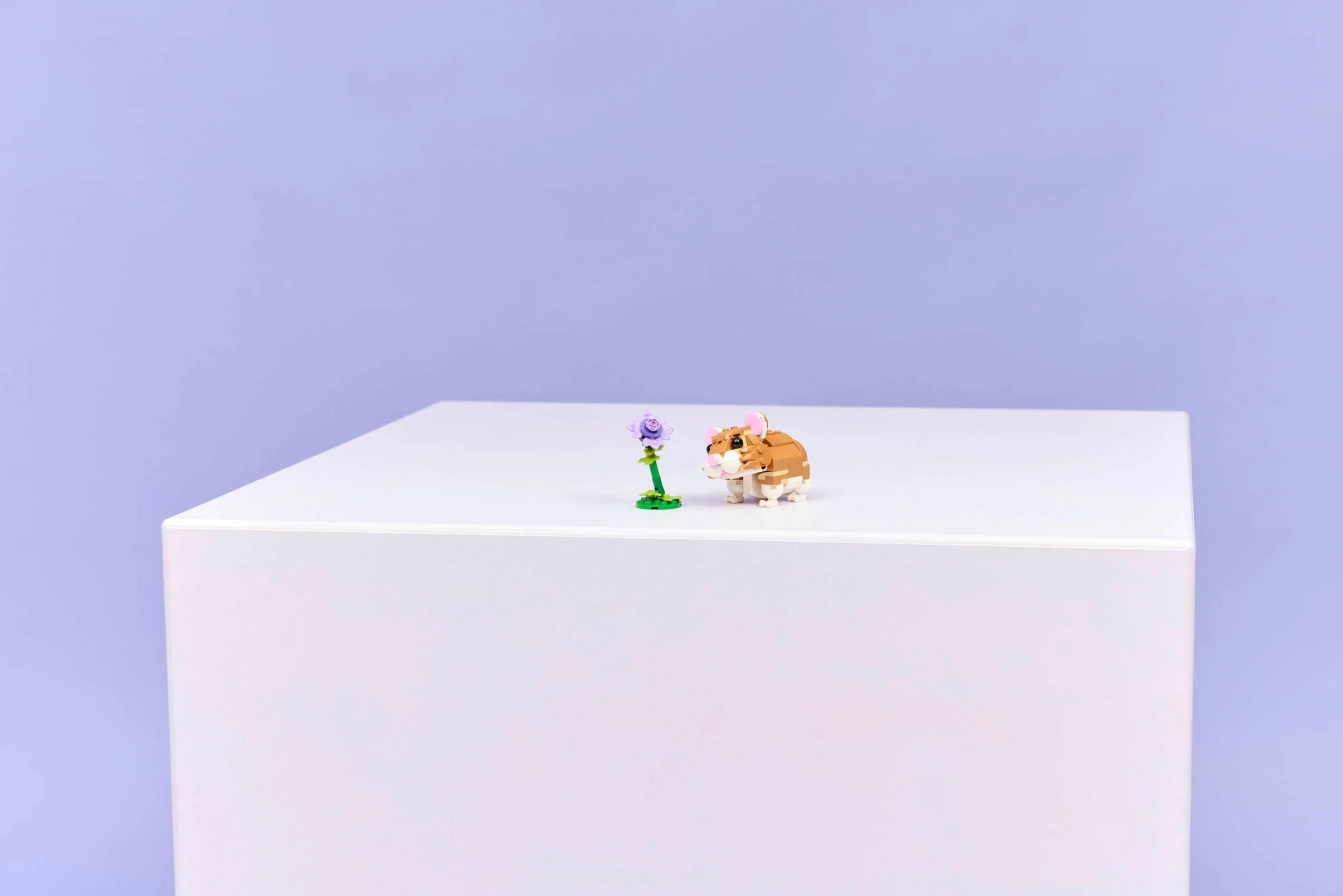 LEGO® 31376 LEGO Creator Uroczy chomik z kwiatkiem - zdjęcie 20