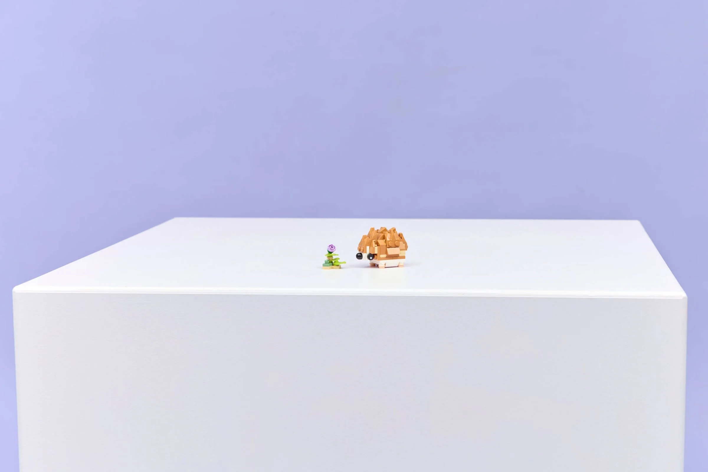 LEGO® 31376 LEGO Creator Uroczy chomik z kwiatkiem - zdjęcie 21