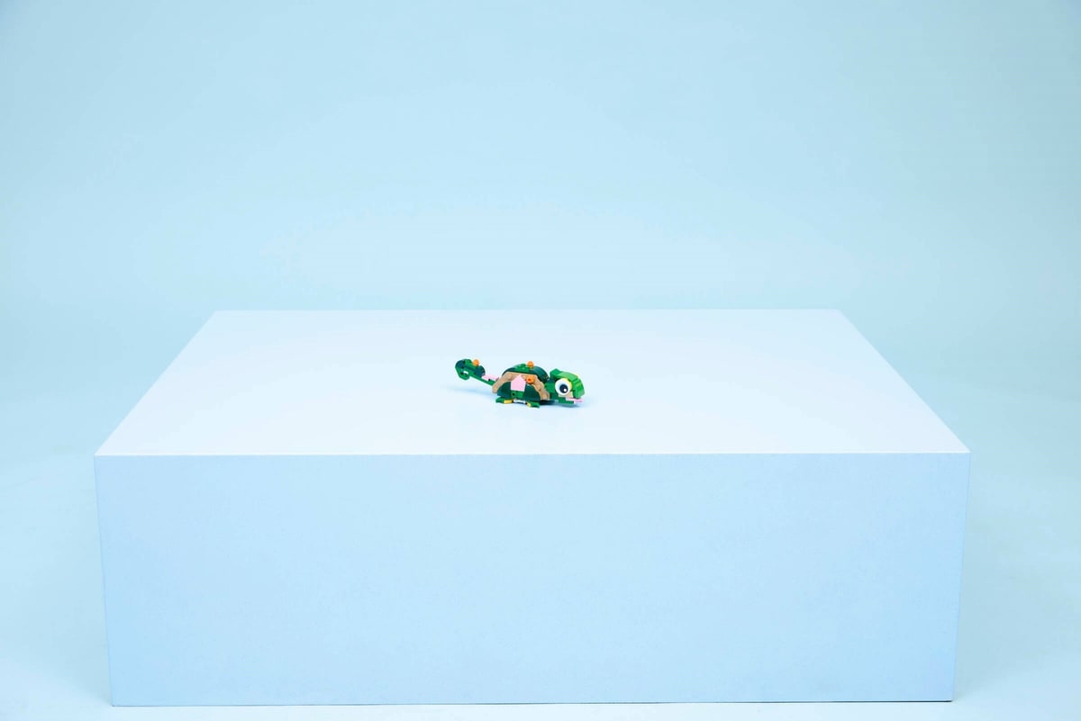 LEGO® 31377 Żółw i kwiat lilii wodnej - zdjęcie 13
