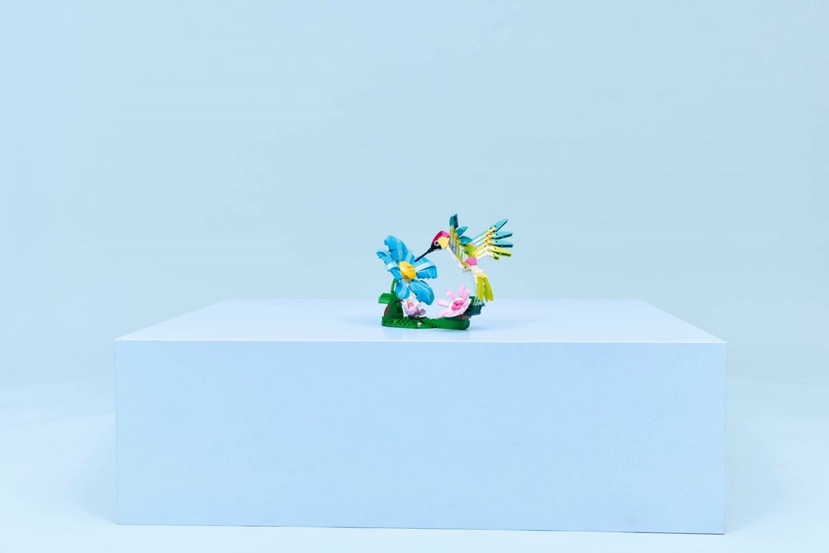 LEGO® 31384 Dzikie zwierzęta: kolorowy koliber - zdjęcie 15