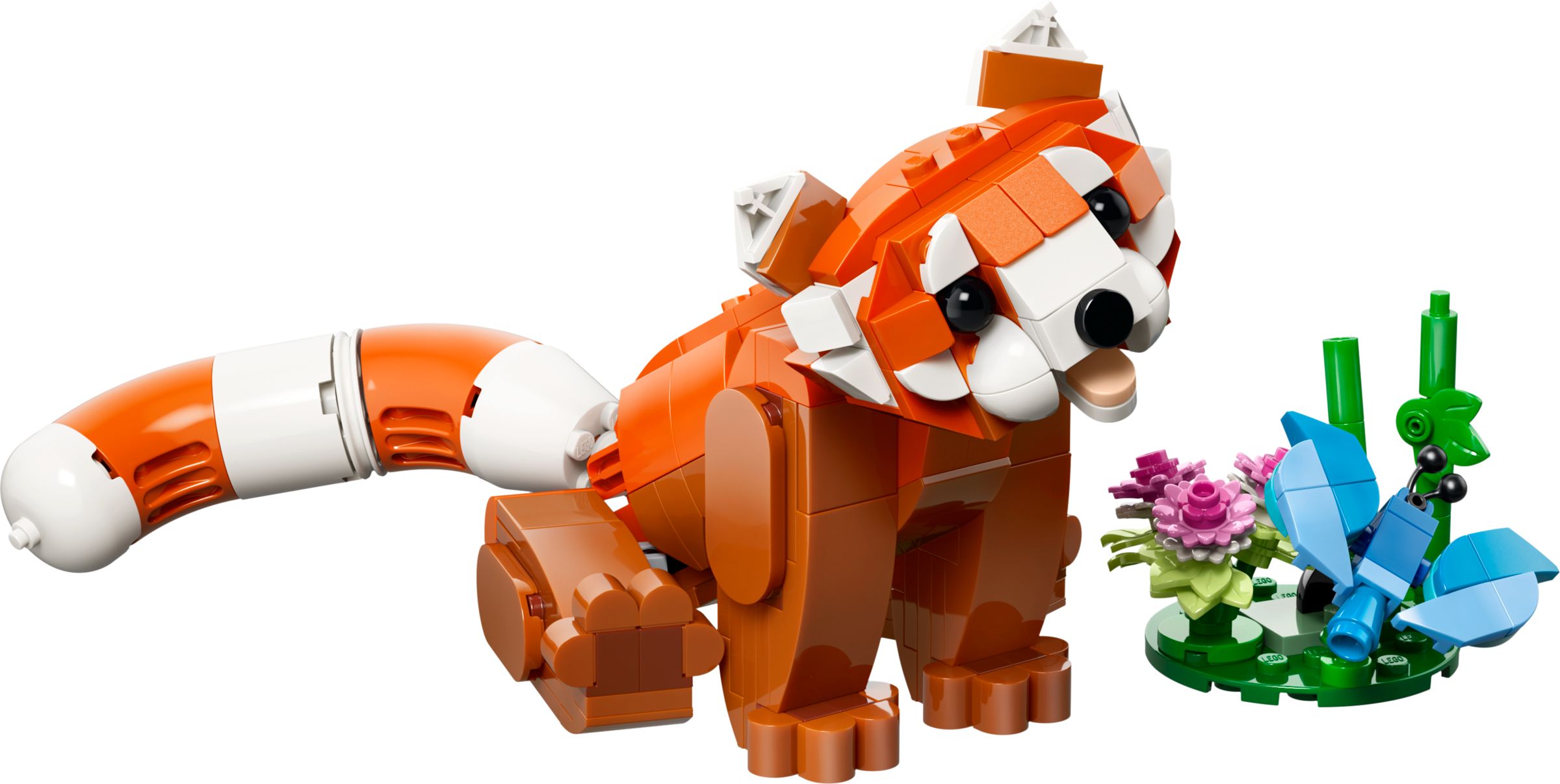 Urocze zwierzątka: Panda ruda