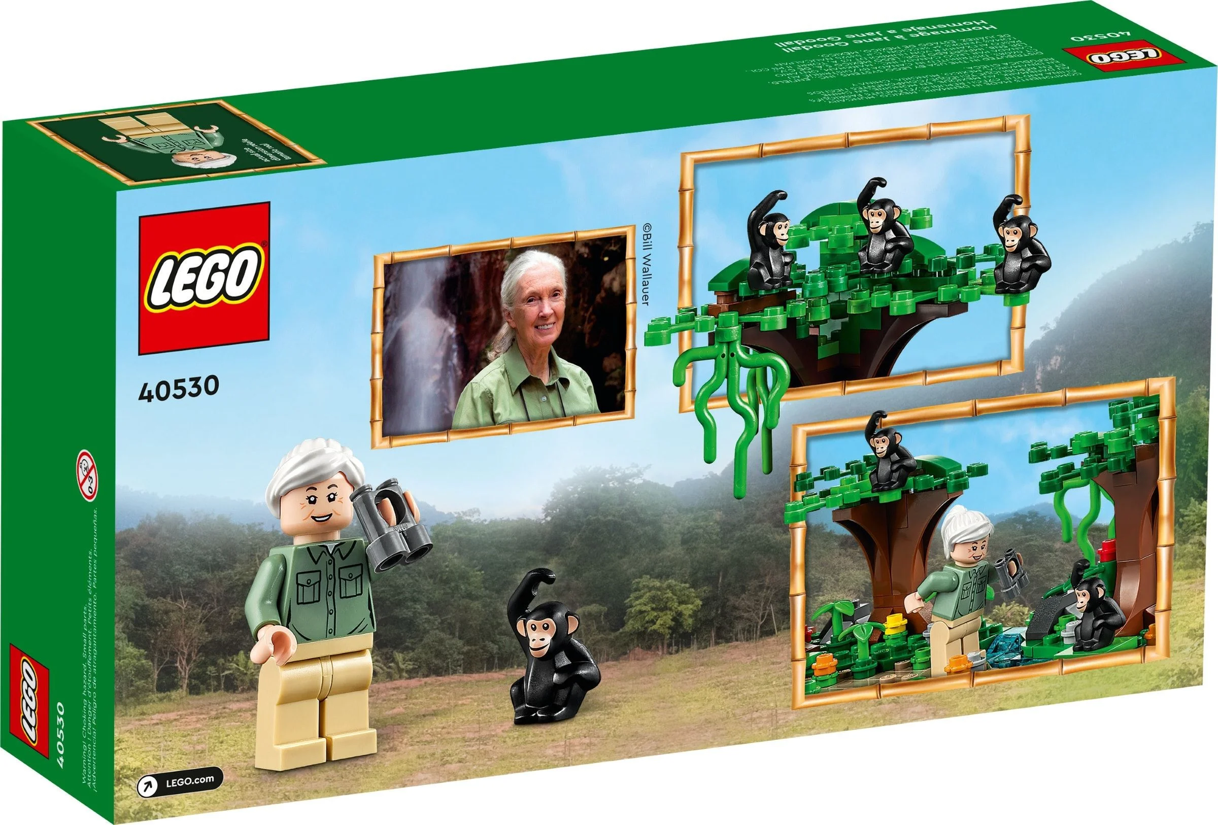 LEGO® 40530 Lego Hołd dla Jane Goodall - zdjęcie 3