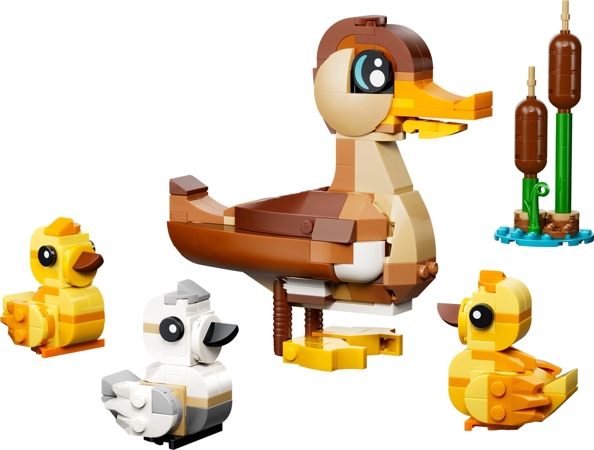 LEGO® 40885 Rodzina Kaczek 6+ - zdjęcie 8