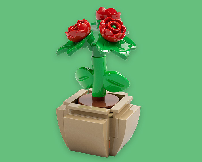 Potted Roses