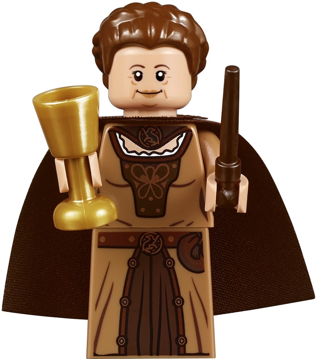 LEGO® 71043 Zamek Hogwart - zdjęcie 49