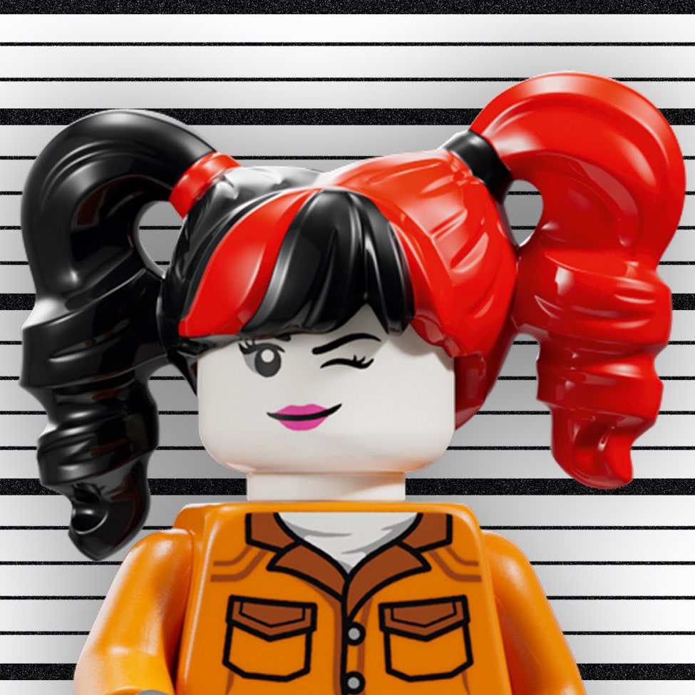LEGO® 76300 Arkham Asylum™ - zdjęcie 12