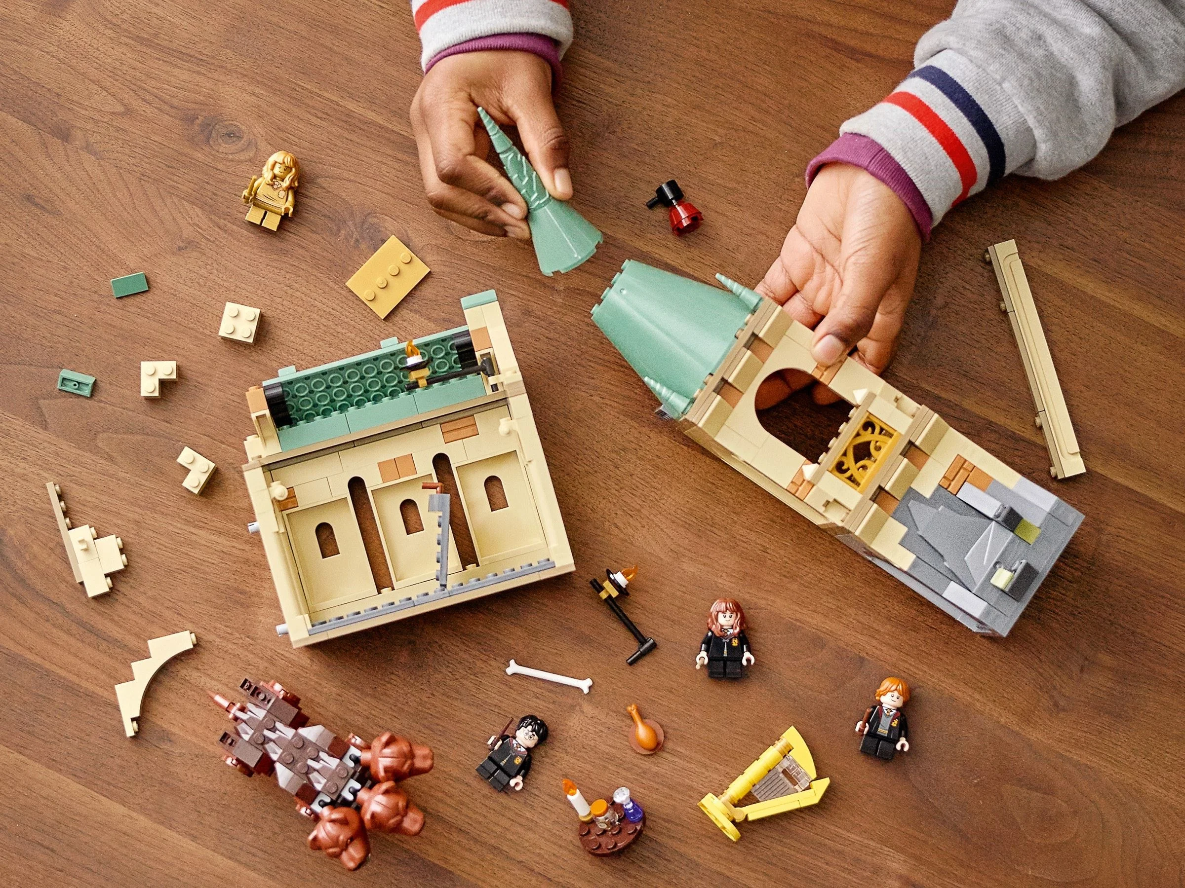 LEGO® 76387 Hogwart™: spotkanie z Puszkiem - zdjęcie 8