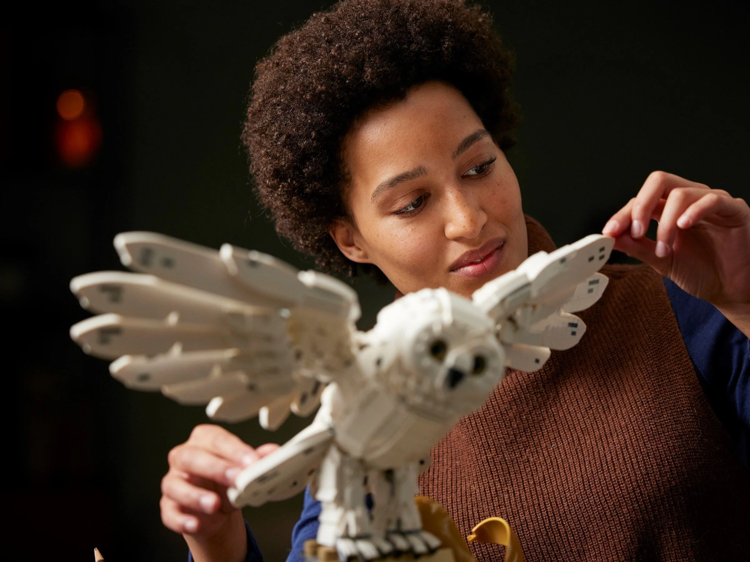 LEGO® 76391 Potter Ikony Hogwartu — edycja kolekcjonerska - zdjęcie 11