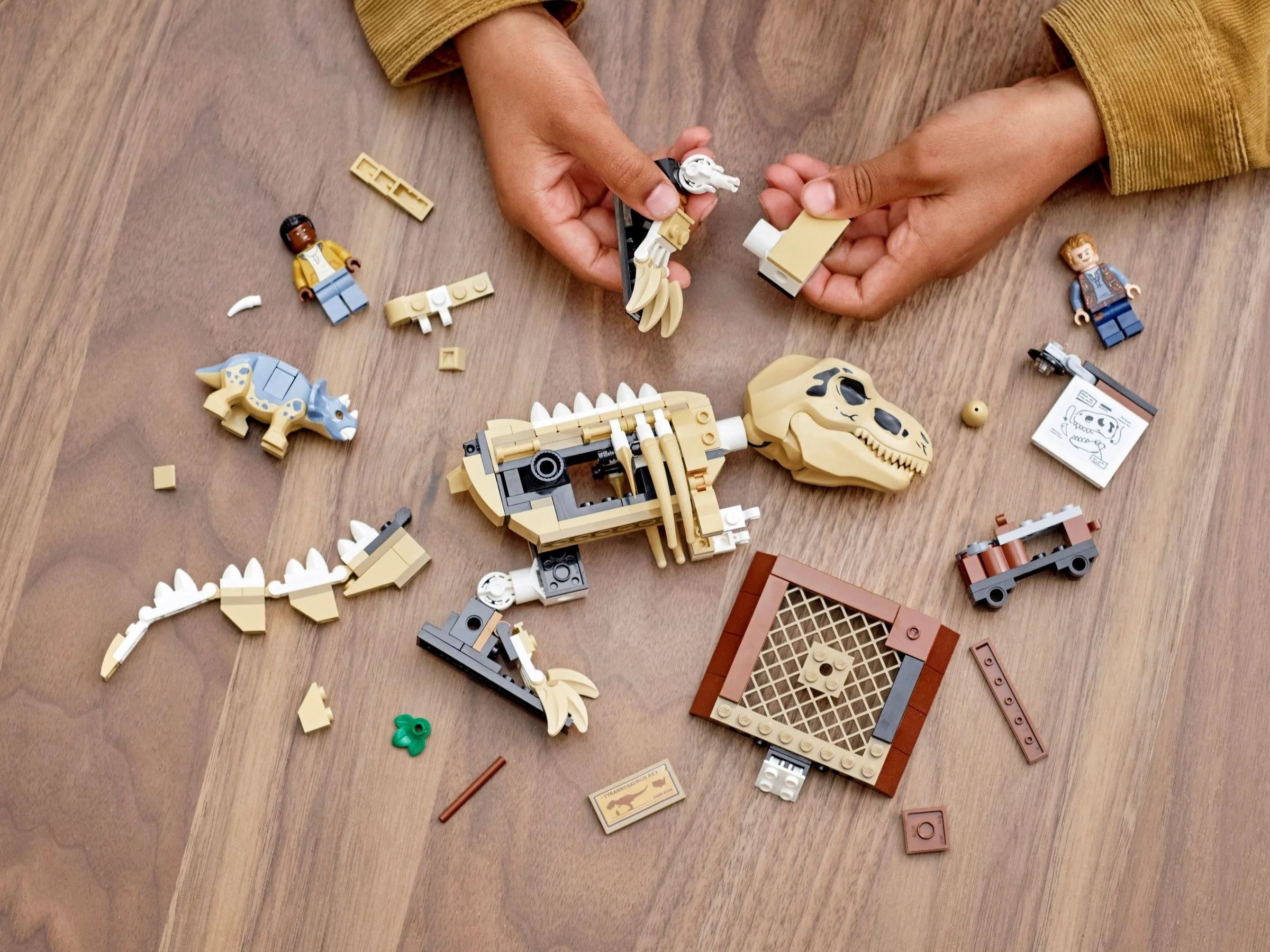 LEGO® 76940 Wystawa skamieniałości tyranozaura - zdjęcie 6