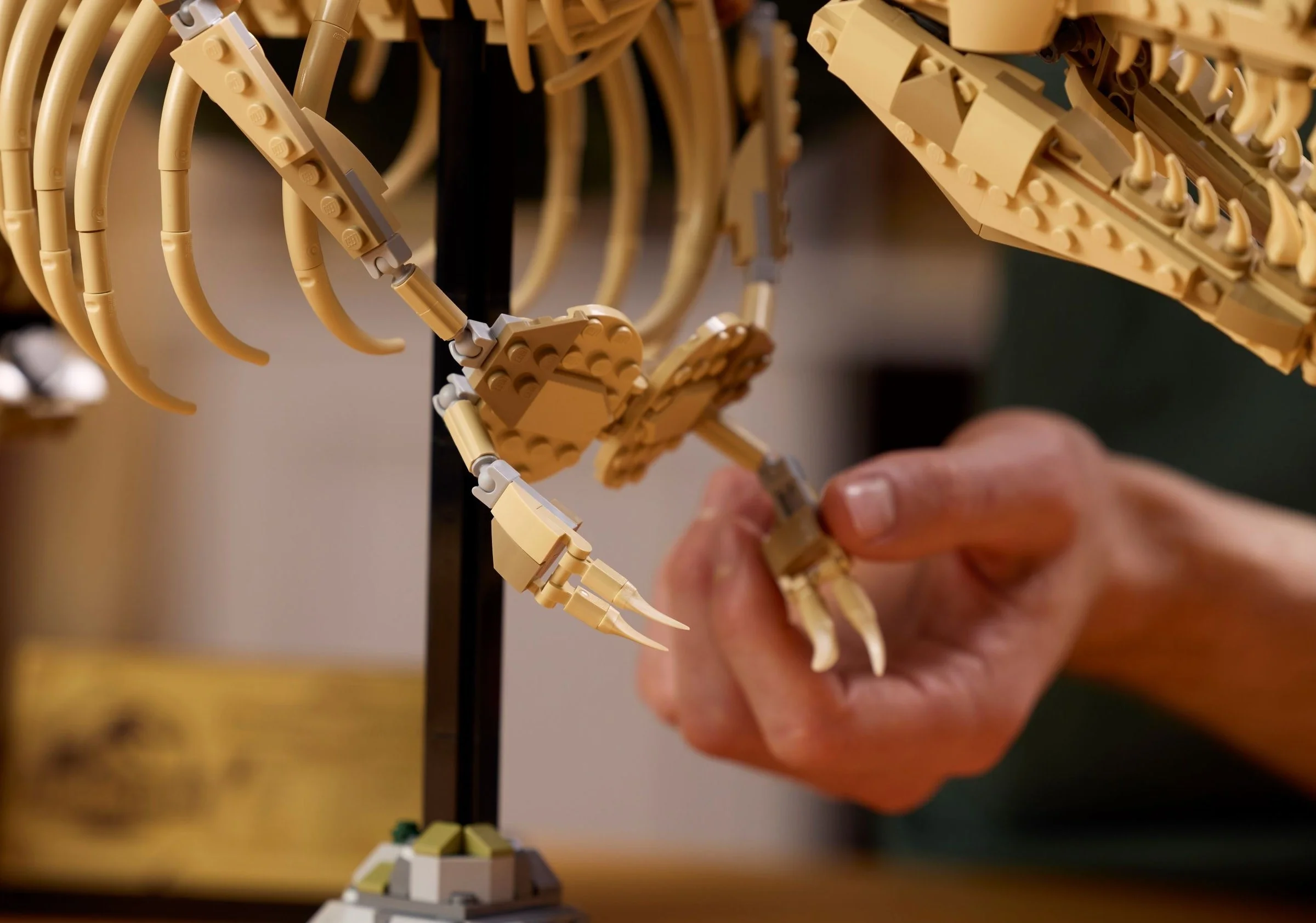 LEGO® 76968 Szkielety dinozaurów: tyranozaur - zdjęcie 9