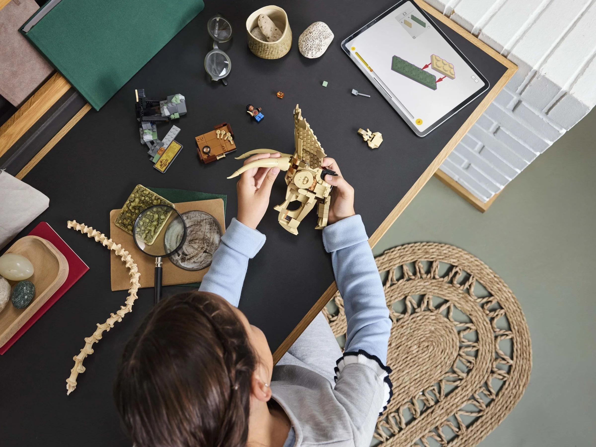 LEGO® 76969 Szkielety dinozaurów: czaszka triceratopsa - zdjęcie 4