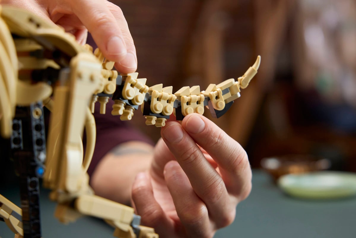LEGO® 77985 Szkielety dinozaurów: triceratops - zdjęcie 11