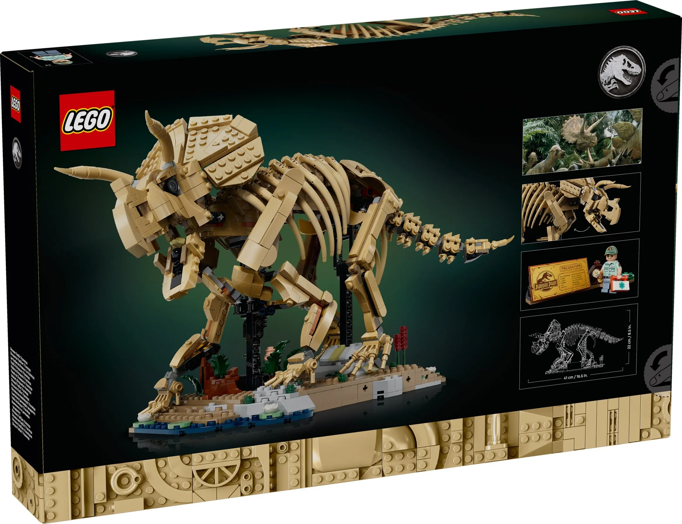 LEGO® 77985 Szkielety dinozaurów: triceratops - zdjęcie 2