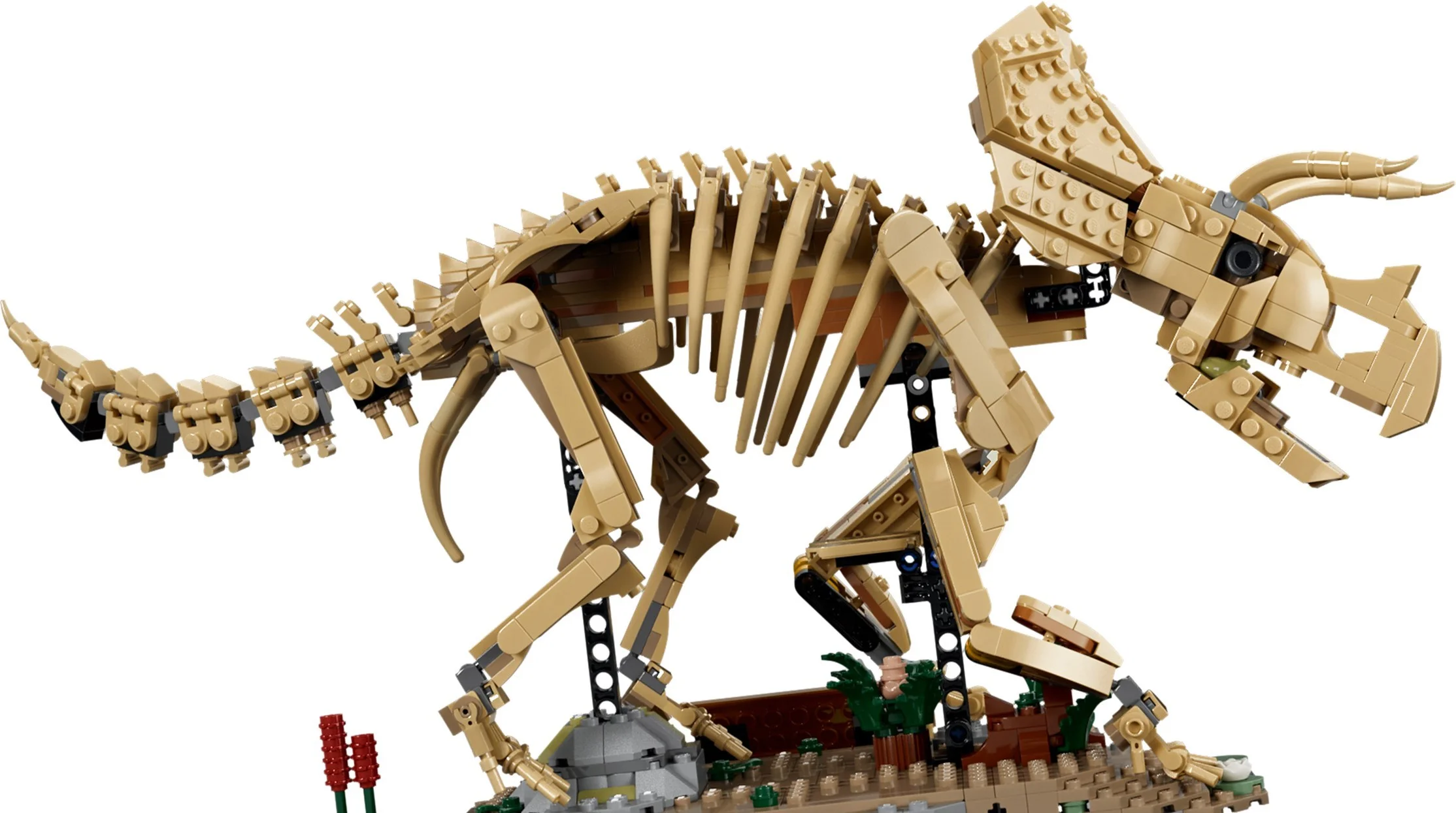 LEGO® 77985 Szkielety dinozaurów: triceratops - zdjęcie 13