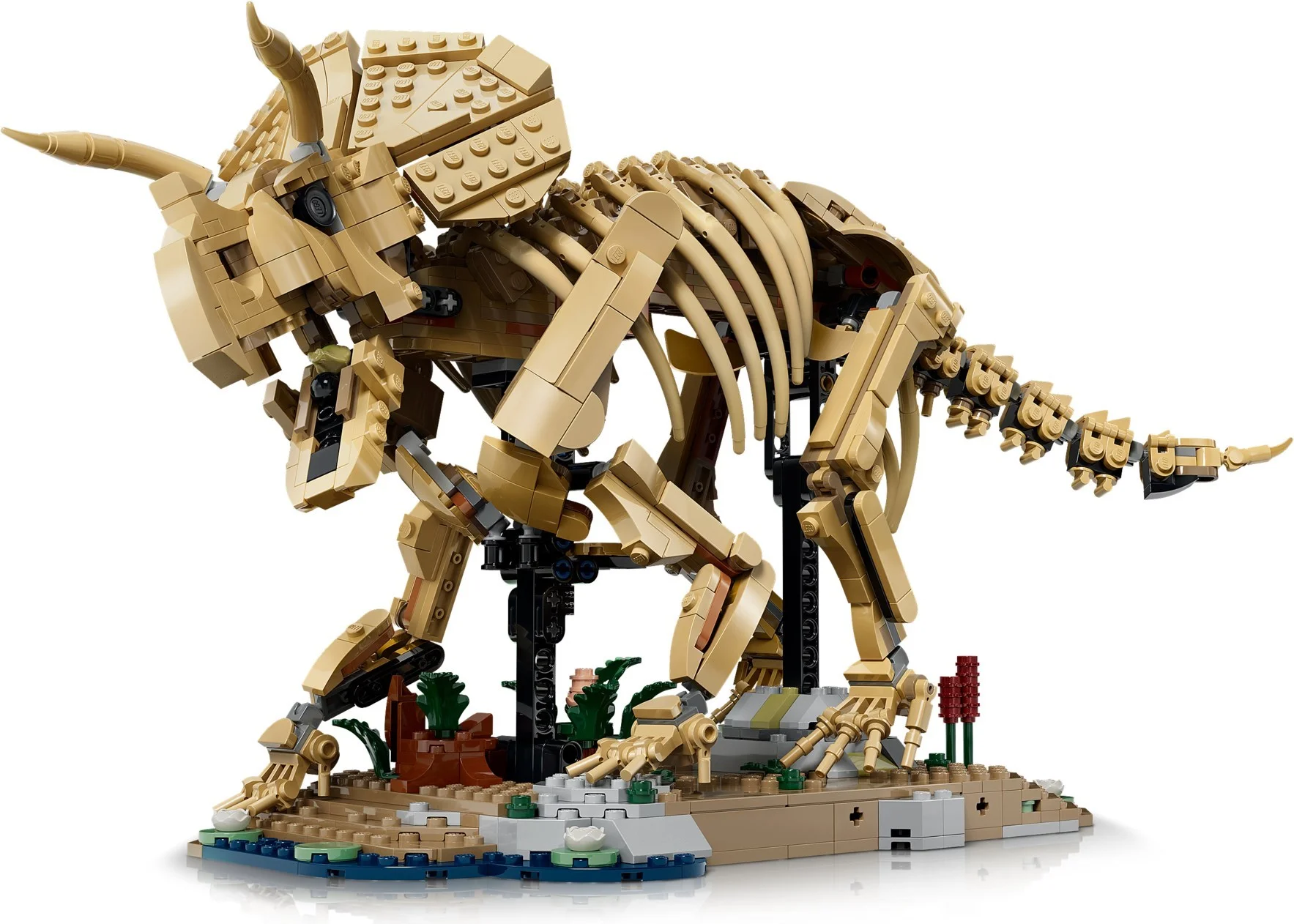 LEGO® 77985 Szkielety dinozaurów: triceratops - zdjęcie 14