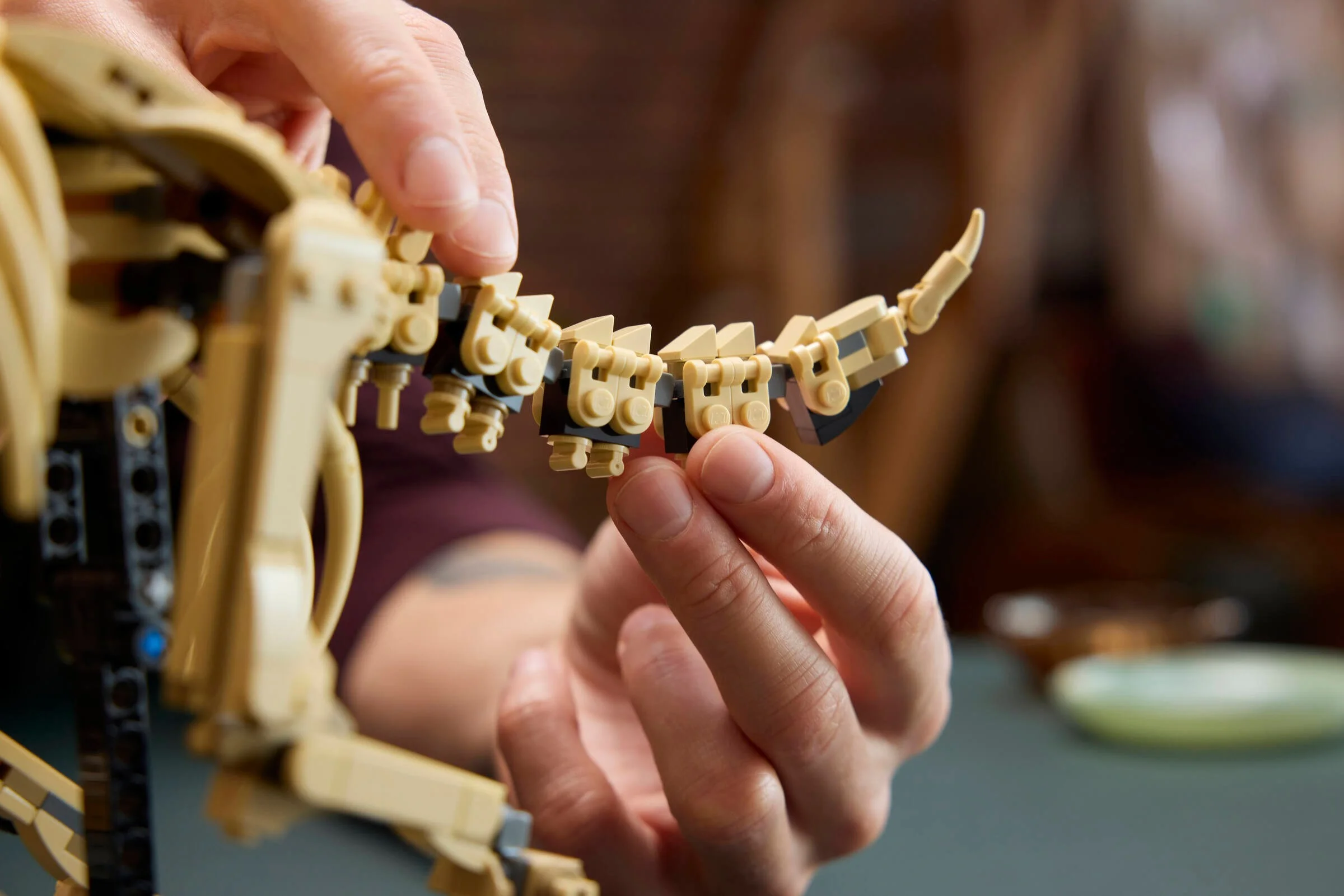 LEGO® 77985 Szkielety dinozaurów: triceratops - zdjęcie 6