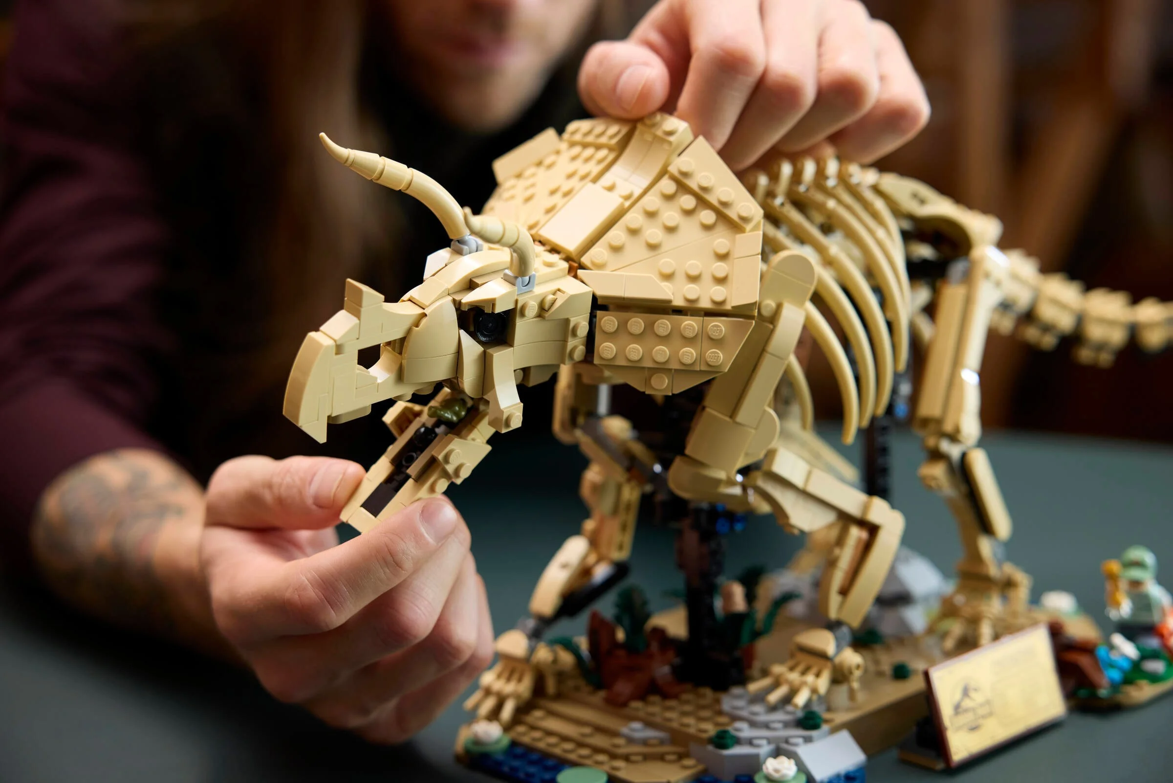 LEGO® 77985 Szkielety dinozaurów: triceratops - zdjęcie 7